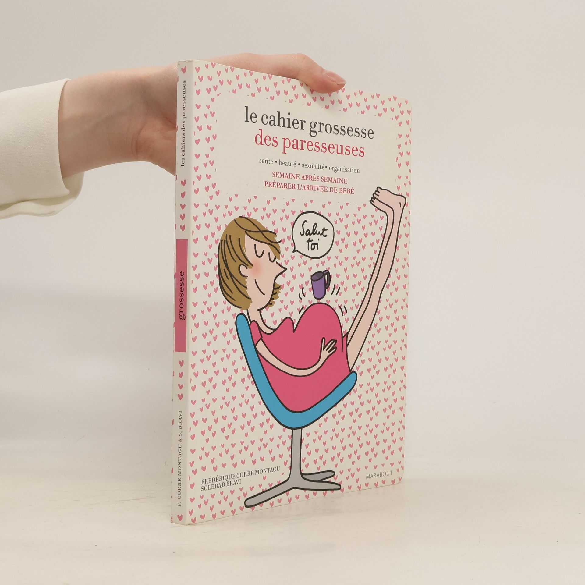 Frédérique Corre Montagu Le cahier de grossesse des paresseuses