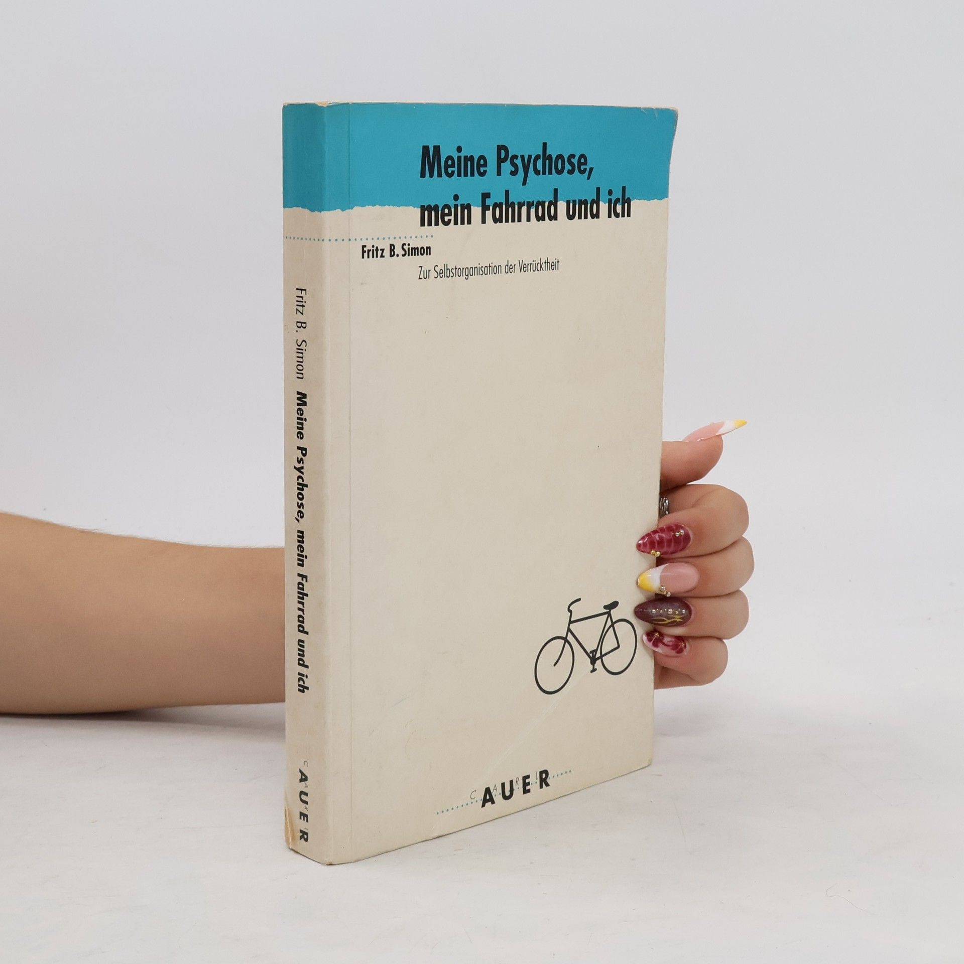Fritz B. Simon Meine Psychose, mein Fahrrad und ich