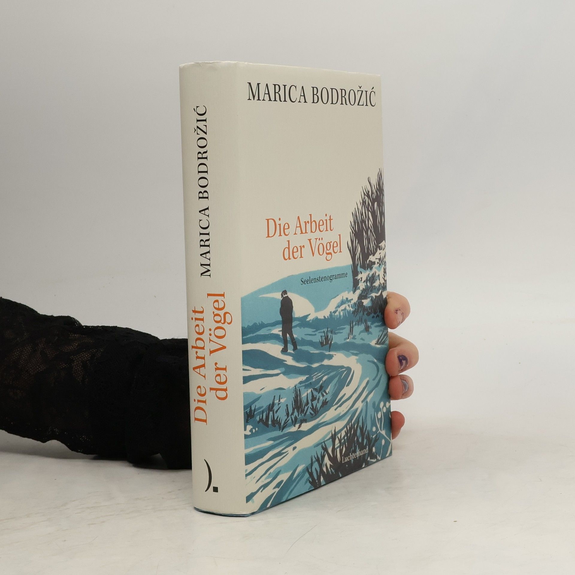 Marica Bodrožić Die Arbeit der Vögel