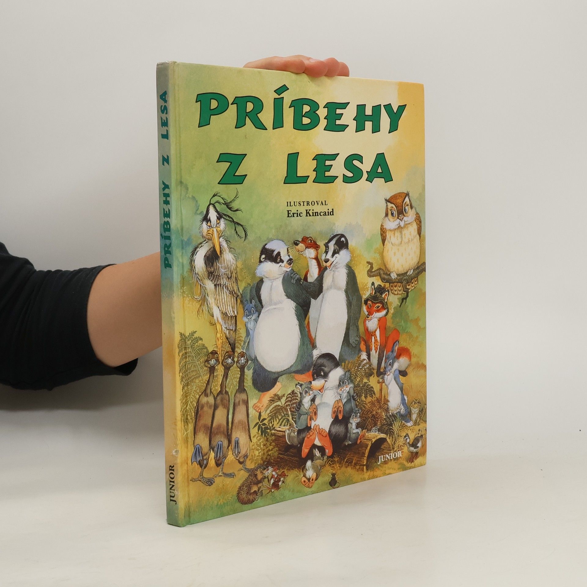 Lucy Kincaid Príbehy z lesa