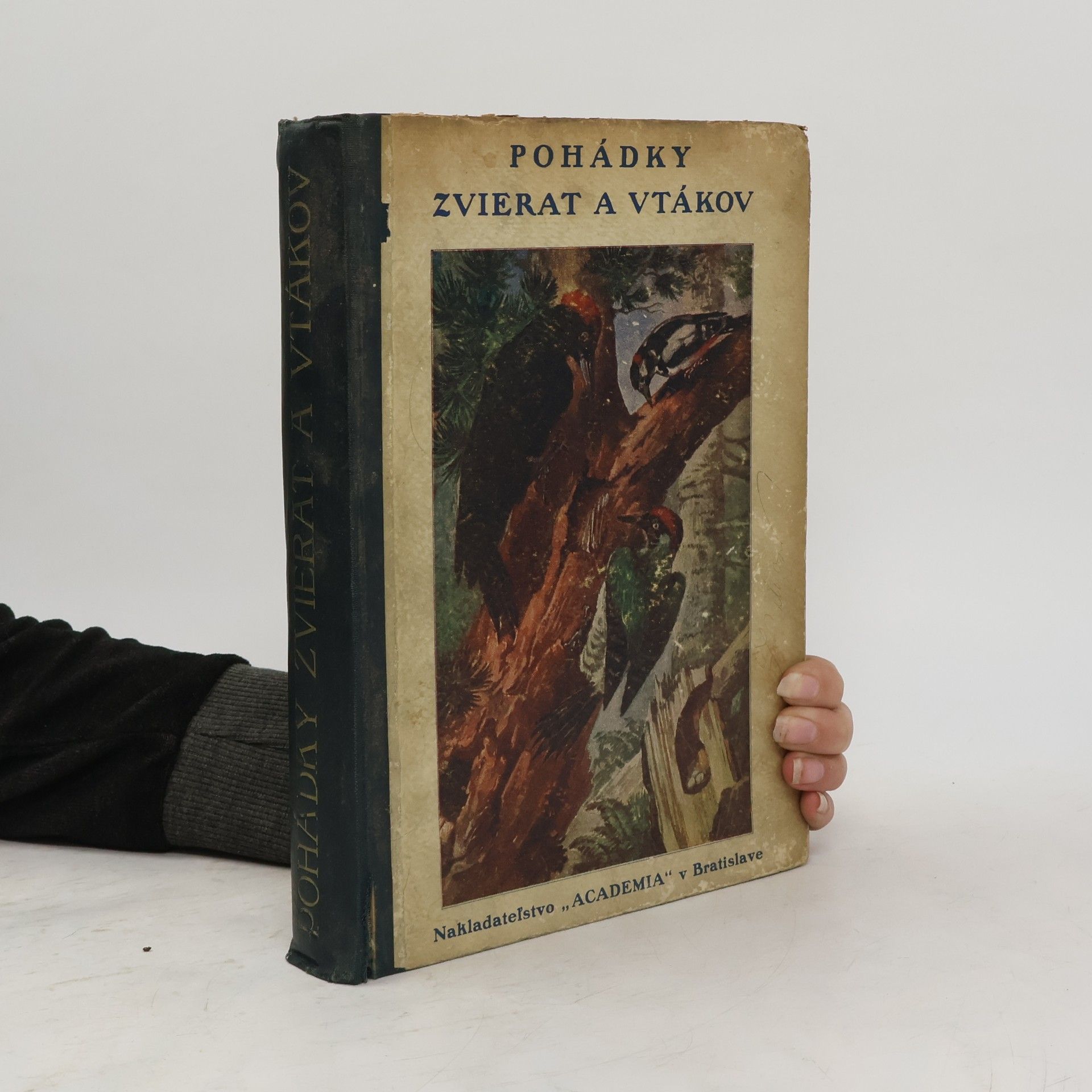 Collectif d'auteurs Pohádky Zierat a vtákov