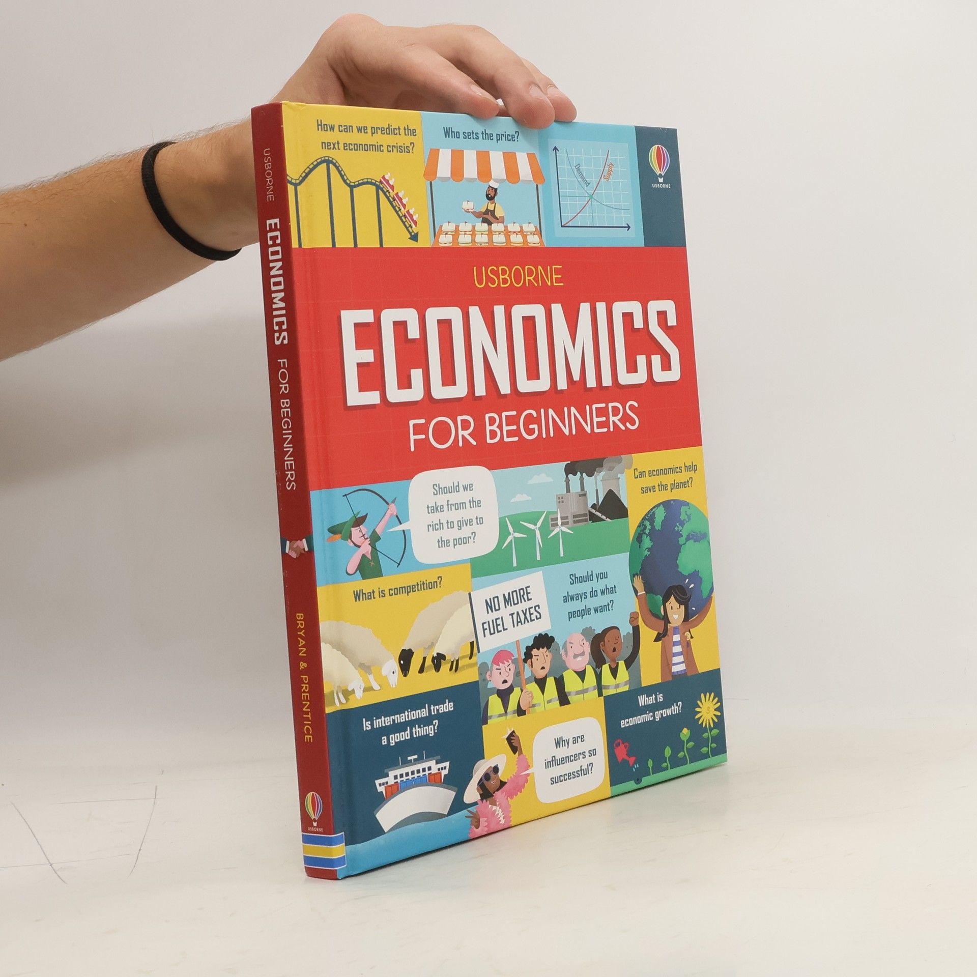 Collectif d'auteurs Economics for Beginners