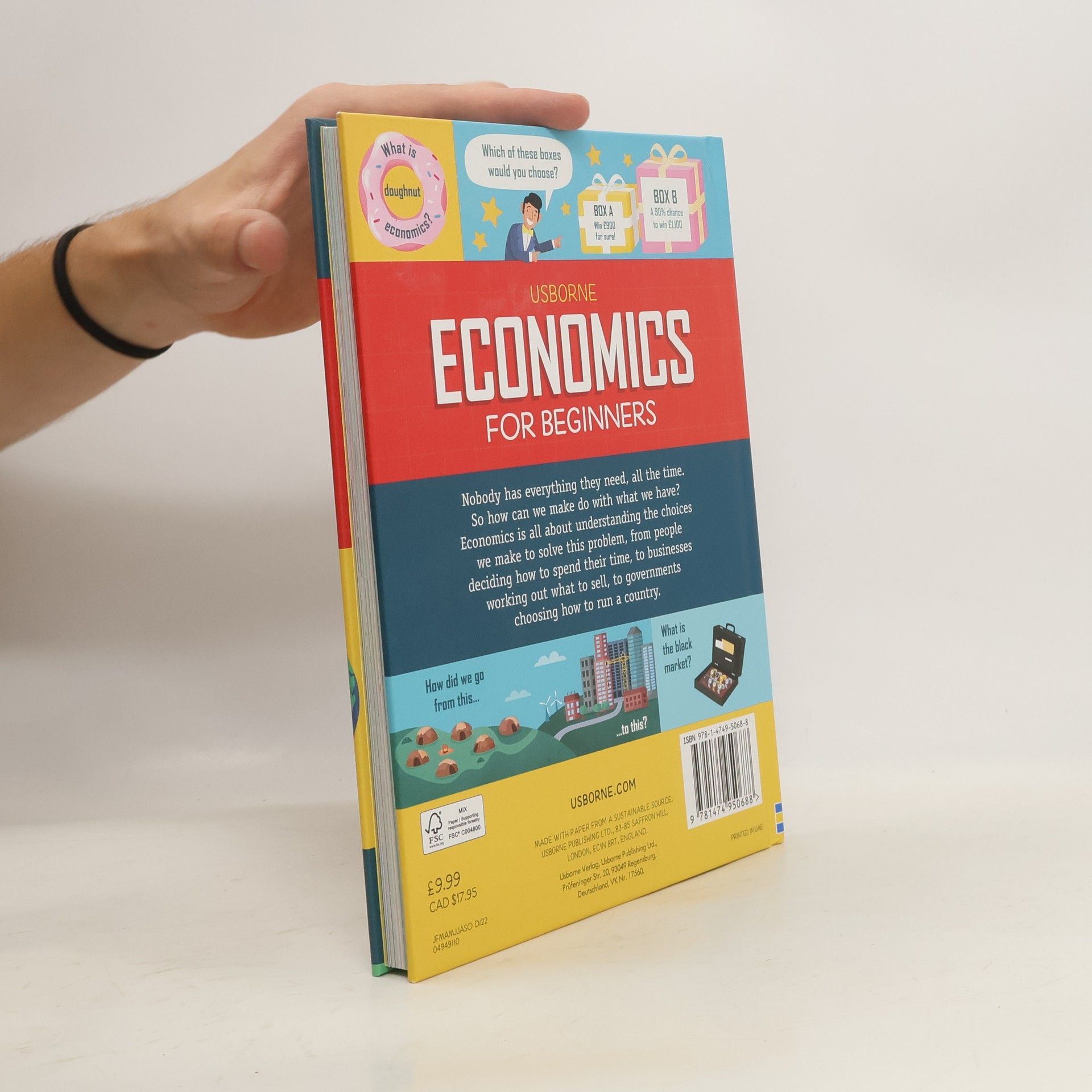 Collectif d'auteurs Economics for Beginners