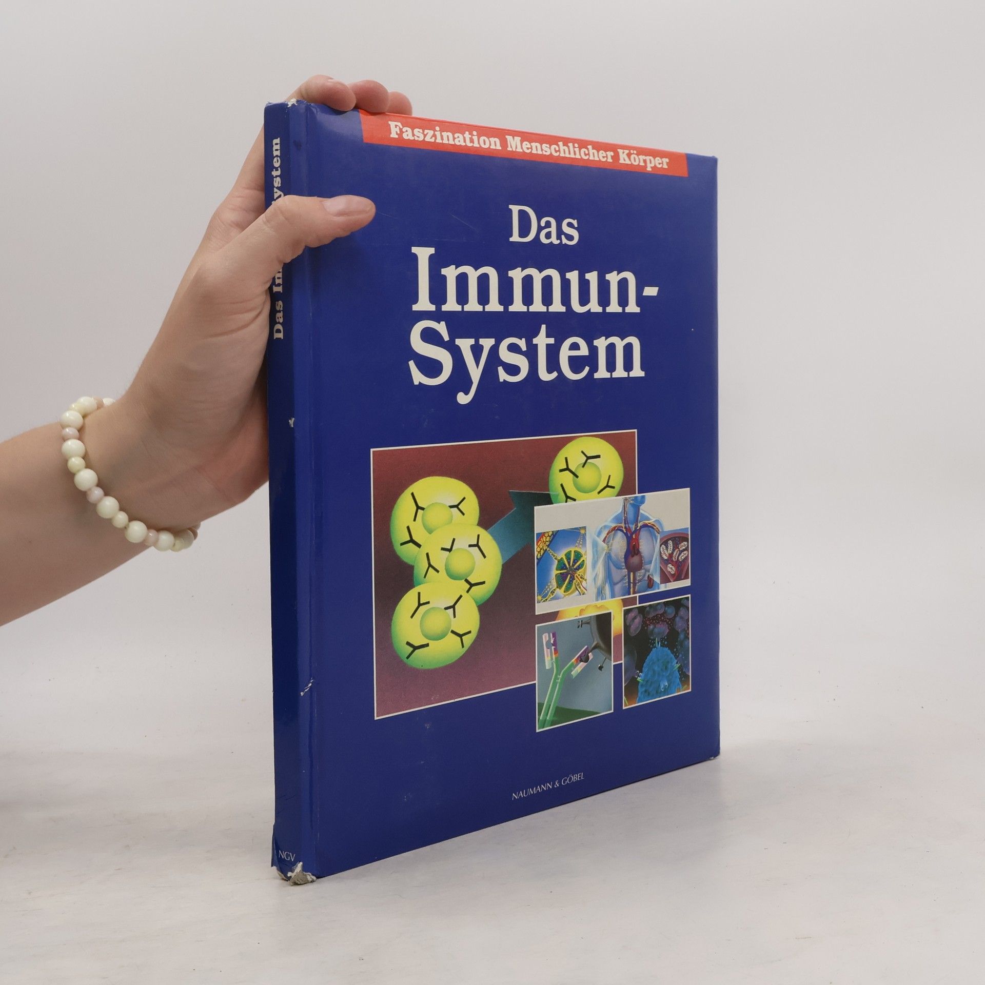 Autorenkollektiv Das Immun-System