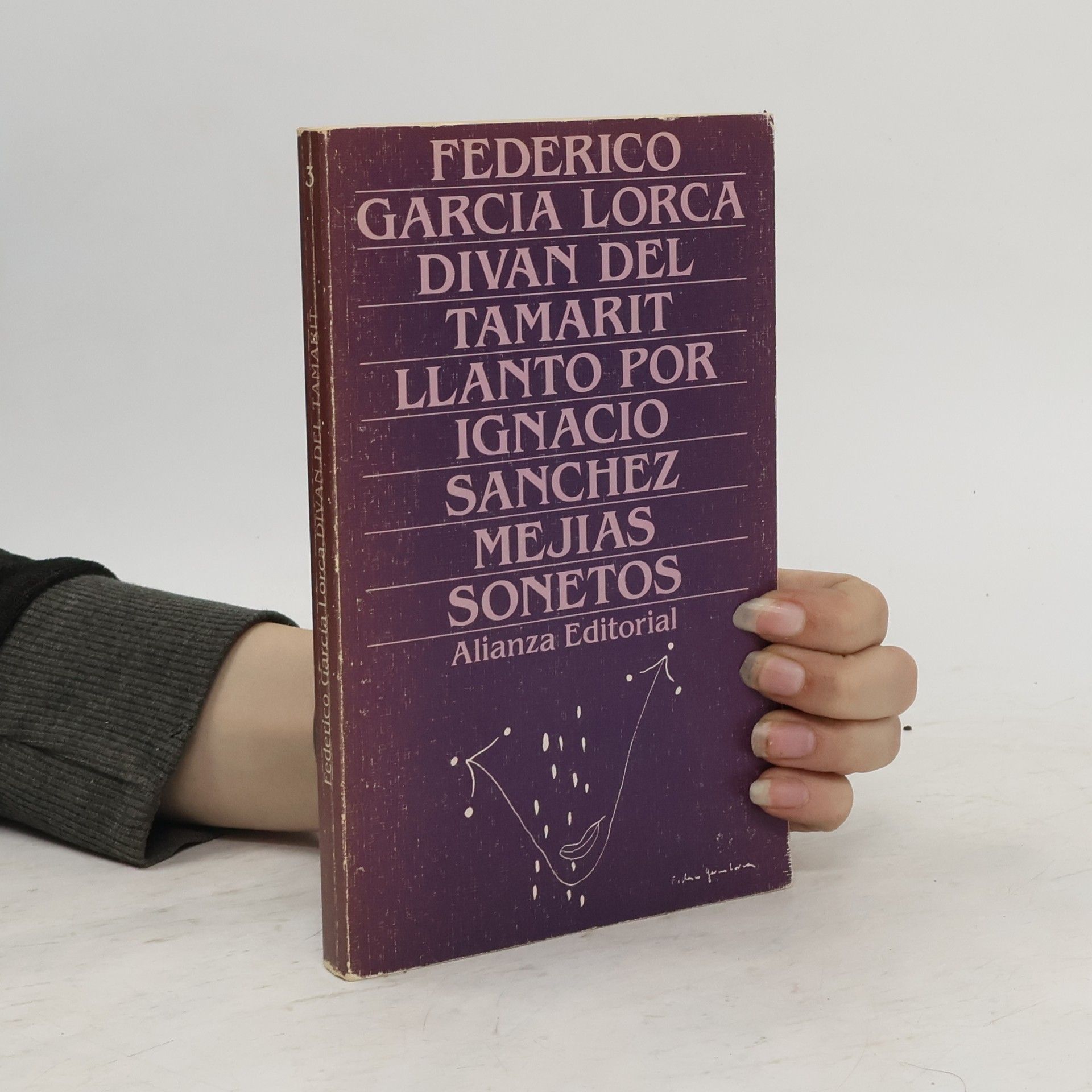 Federico García Lorca Divan de Tamarit
