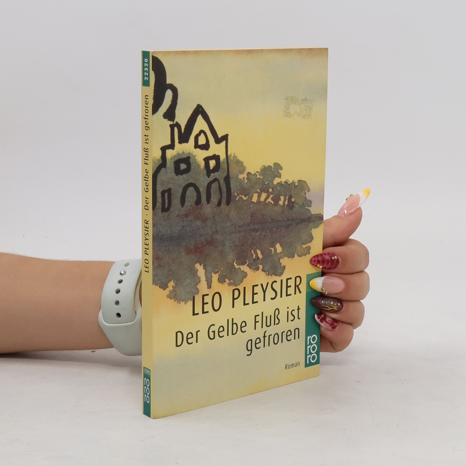 Leo Pleysier Der Gelbe Fluss ist gefroren