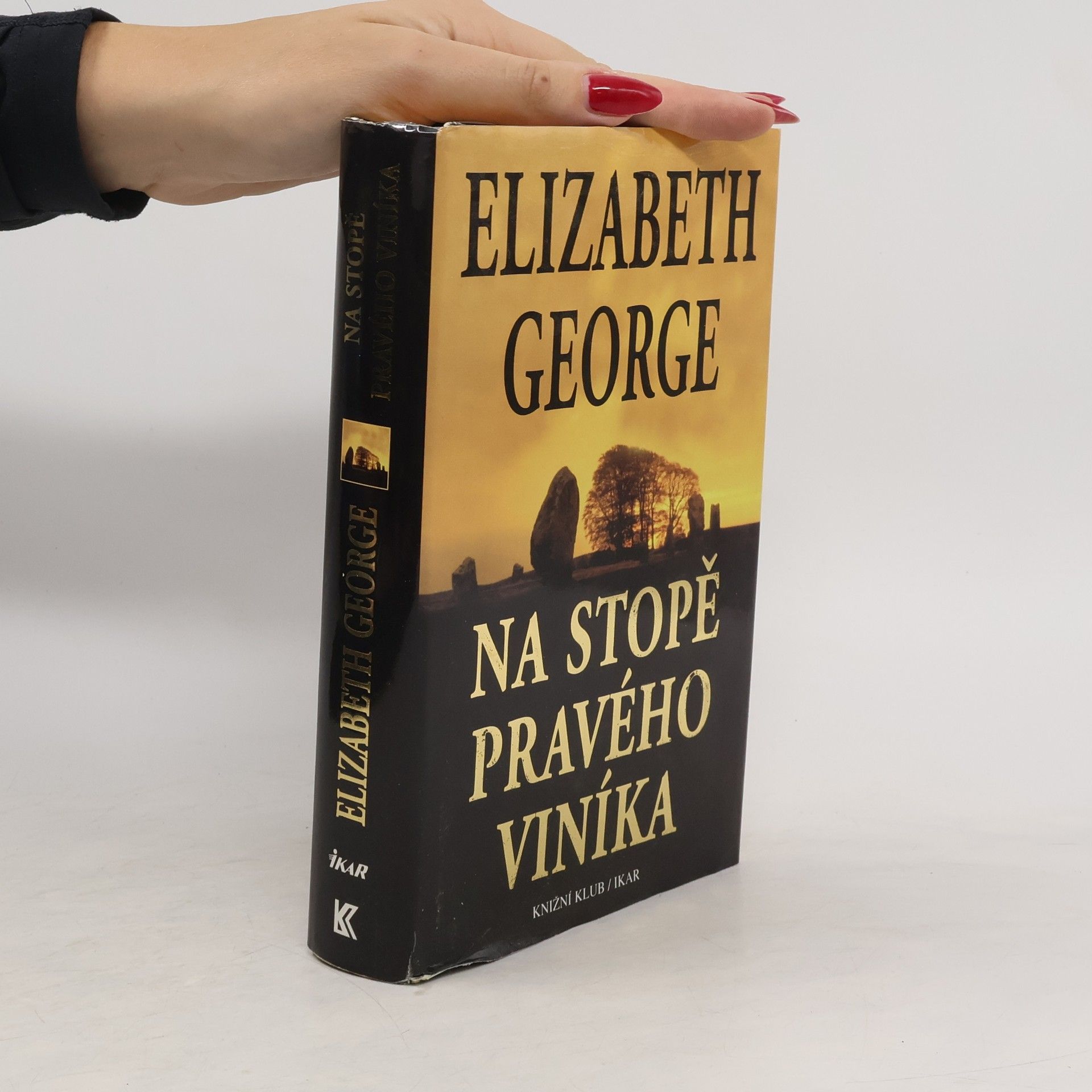 Elizabeth George Na stopě pravého viníka
