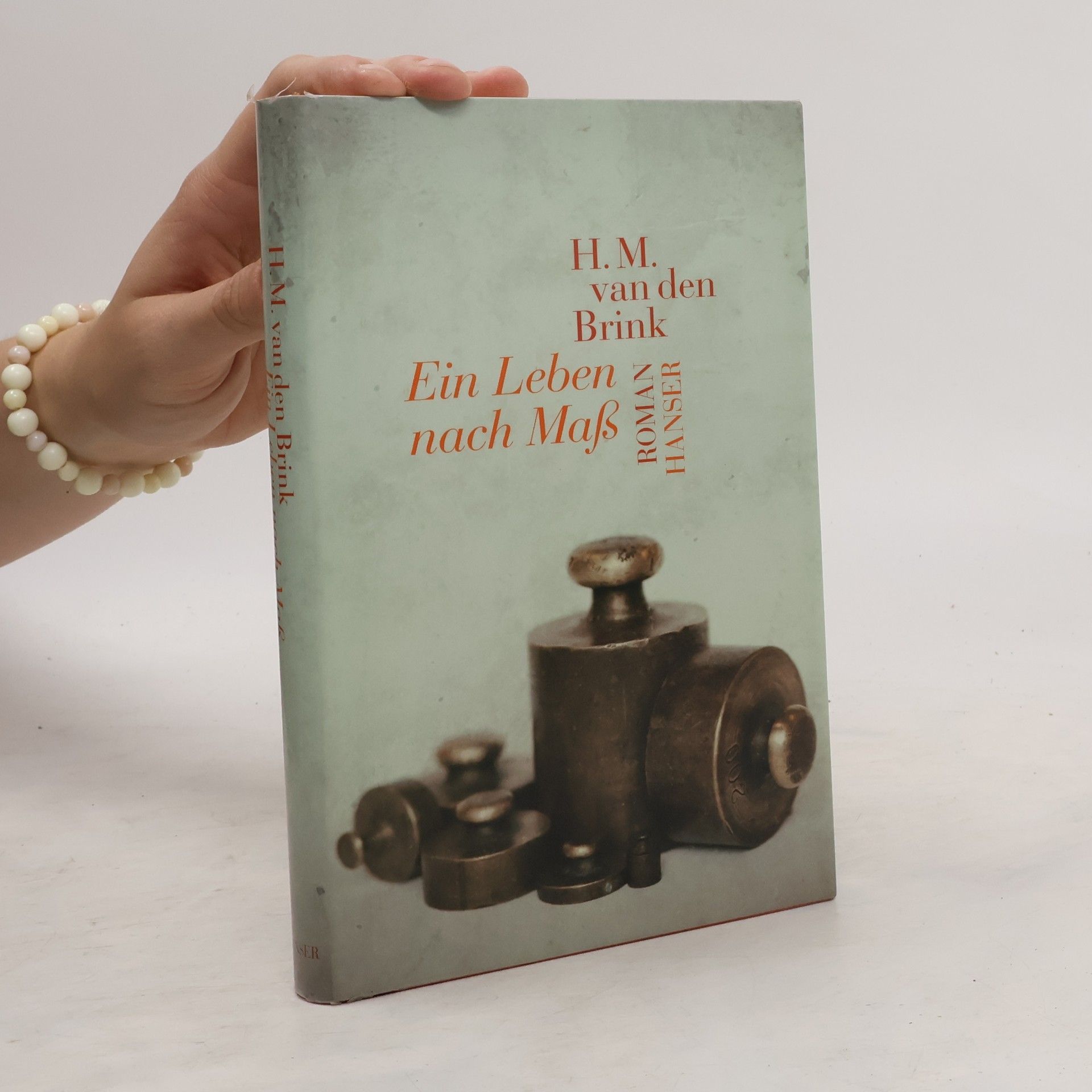 H. M. van den Brink Ein Leben nach Maß