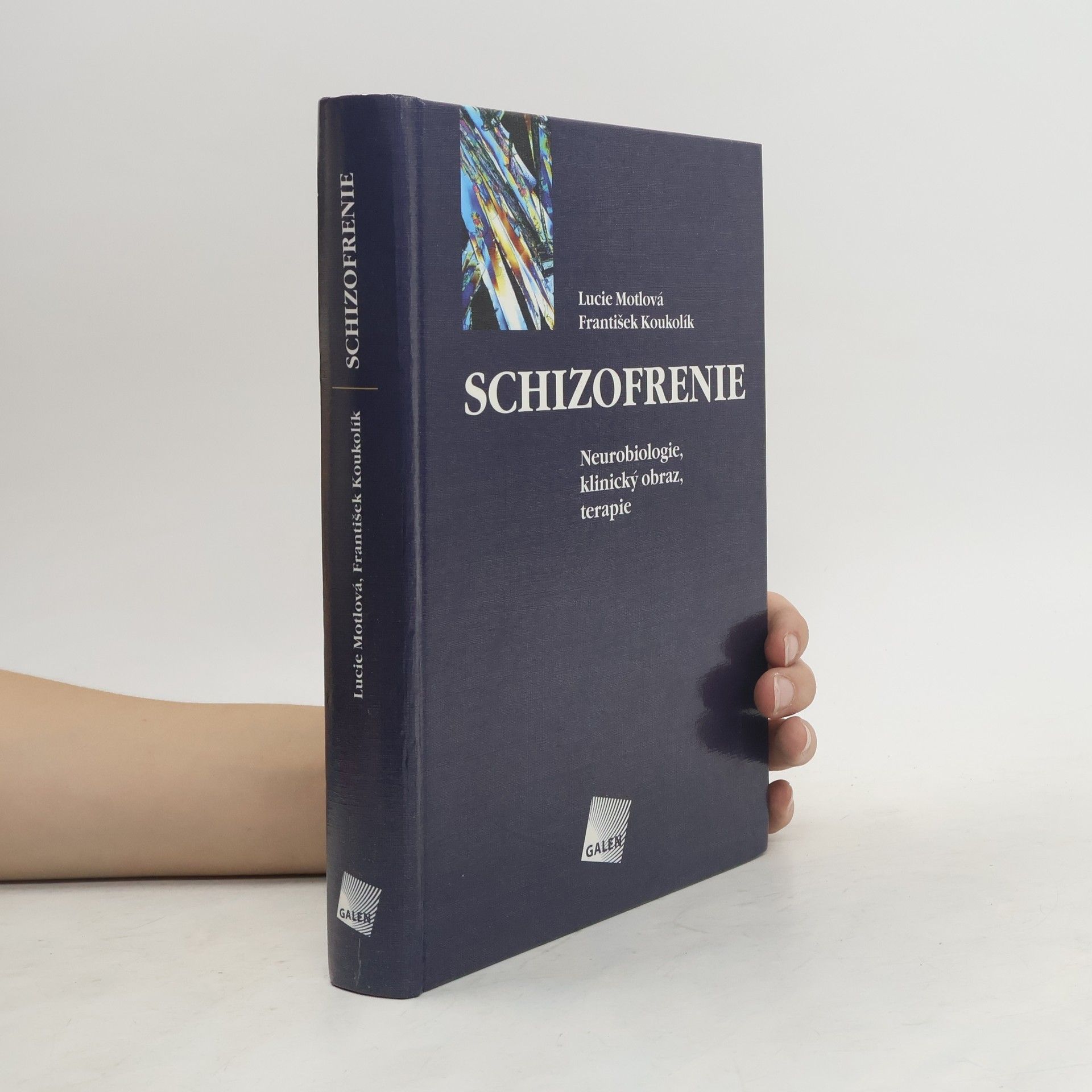 František Koukolík Schizofrenie - Neurobiologie, klinický obraz, terapie