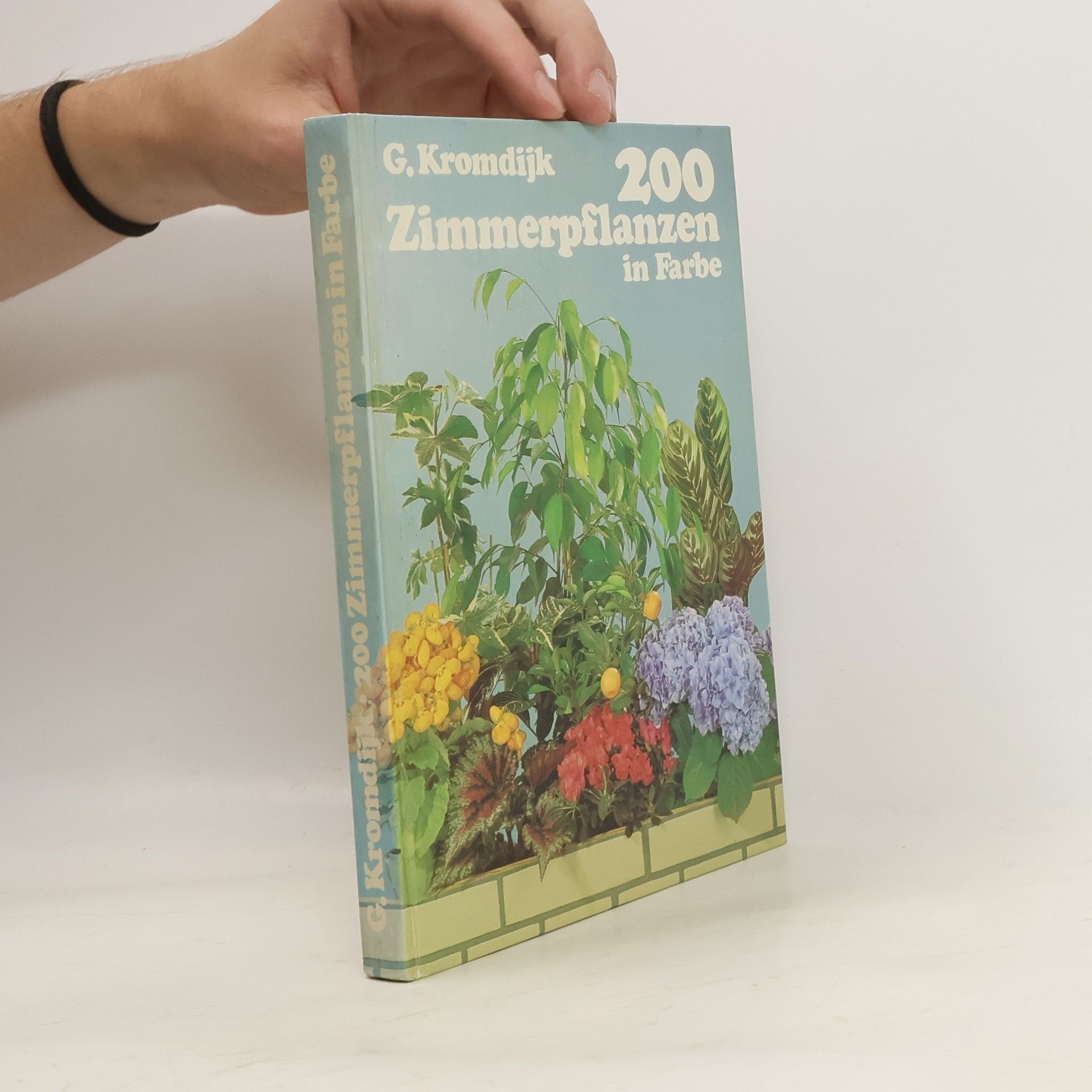 G. Kromdijk 200 Zimmerpflanzen in Farbe