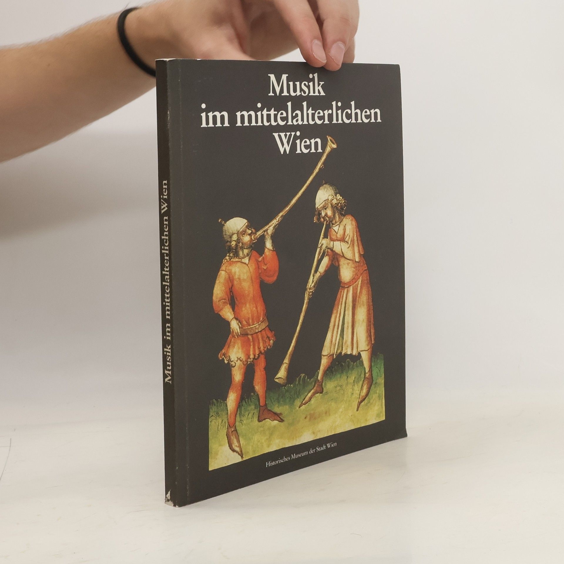 Autorenkollektiv Musik im mittelalterlichen Wien