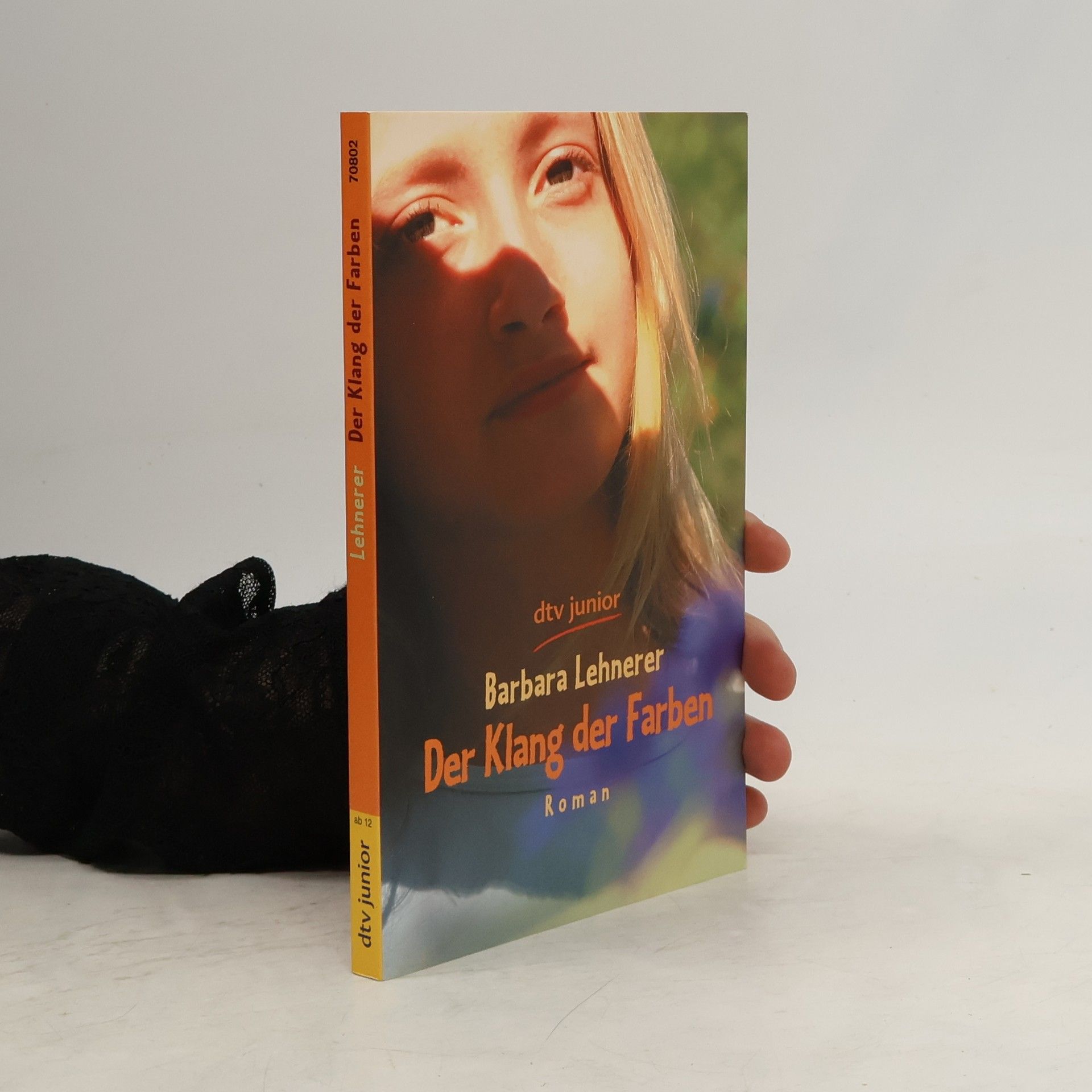 Barbara Lehnerer Der Klang der Farben