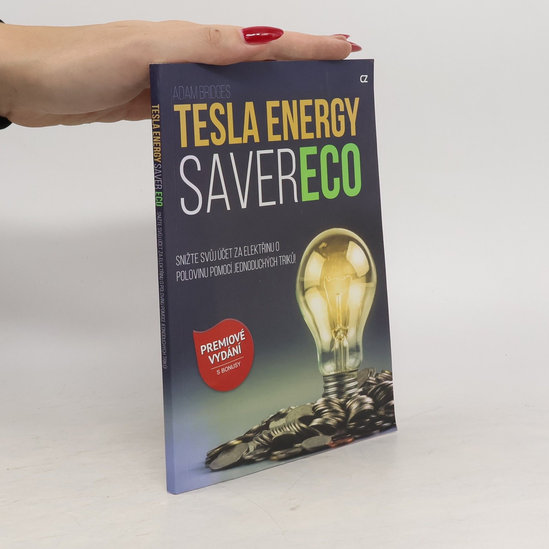 Adam Bridges Tesla energy saver ECO
