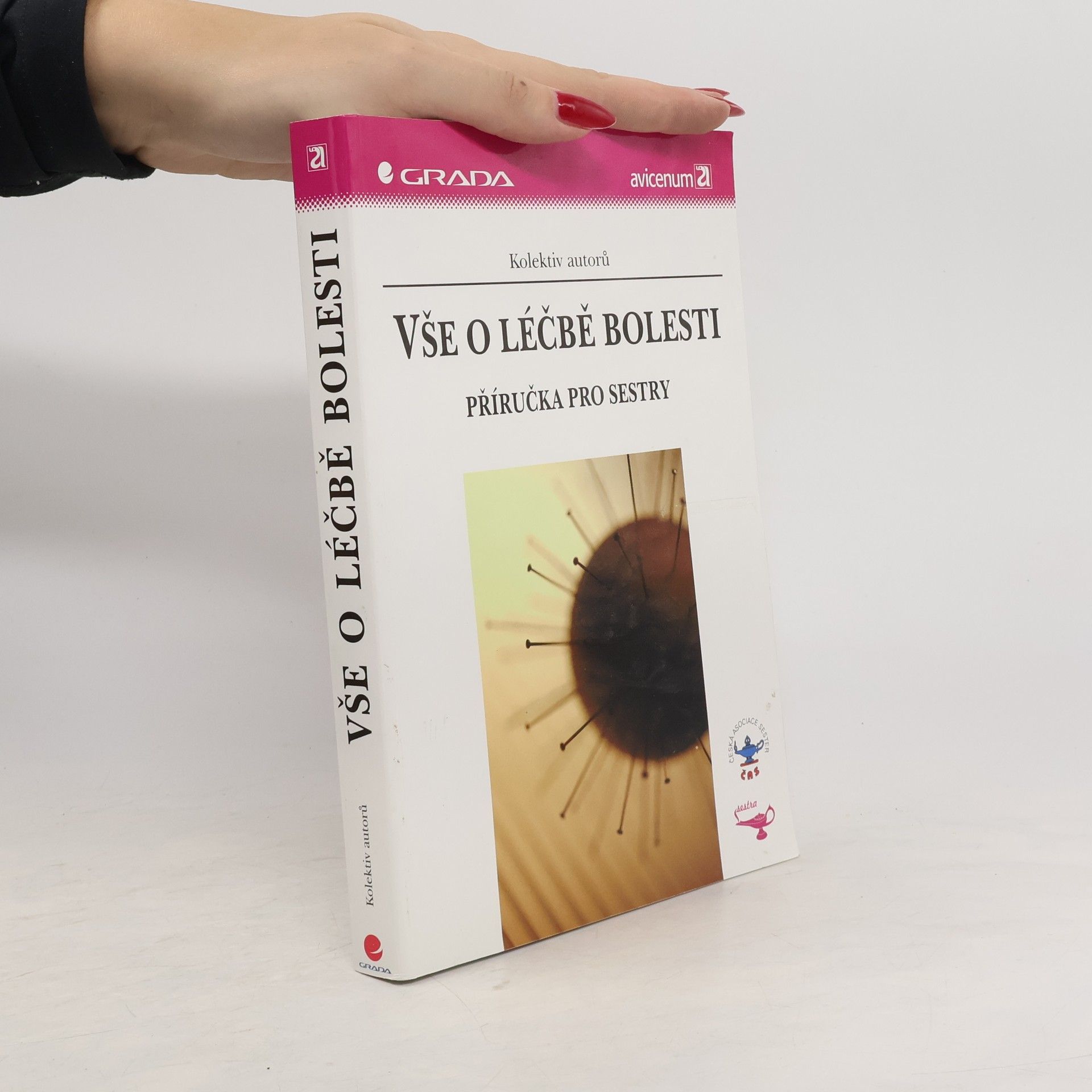 Autorenkollektiv Vše o léčbě bolesti: Příručka pro sestry