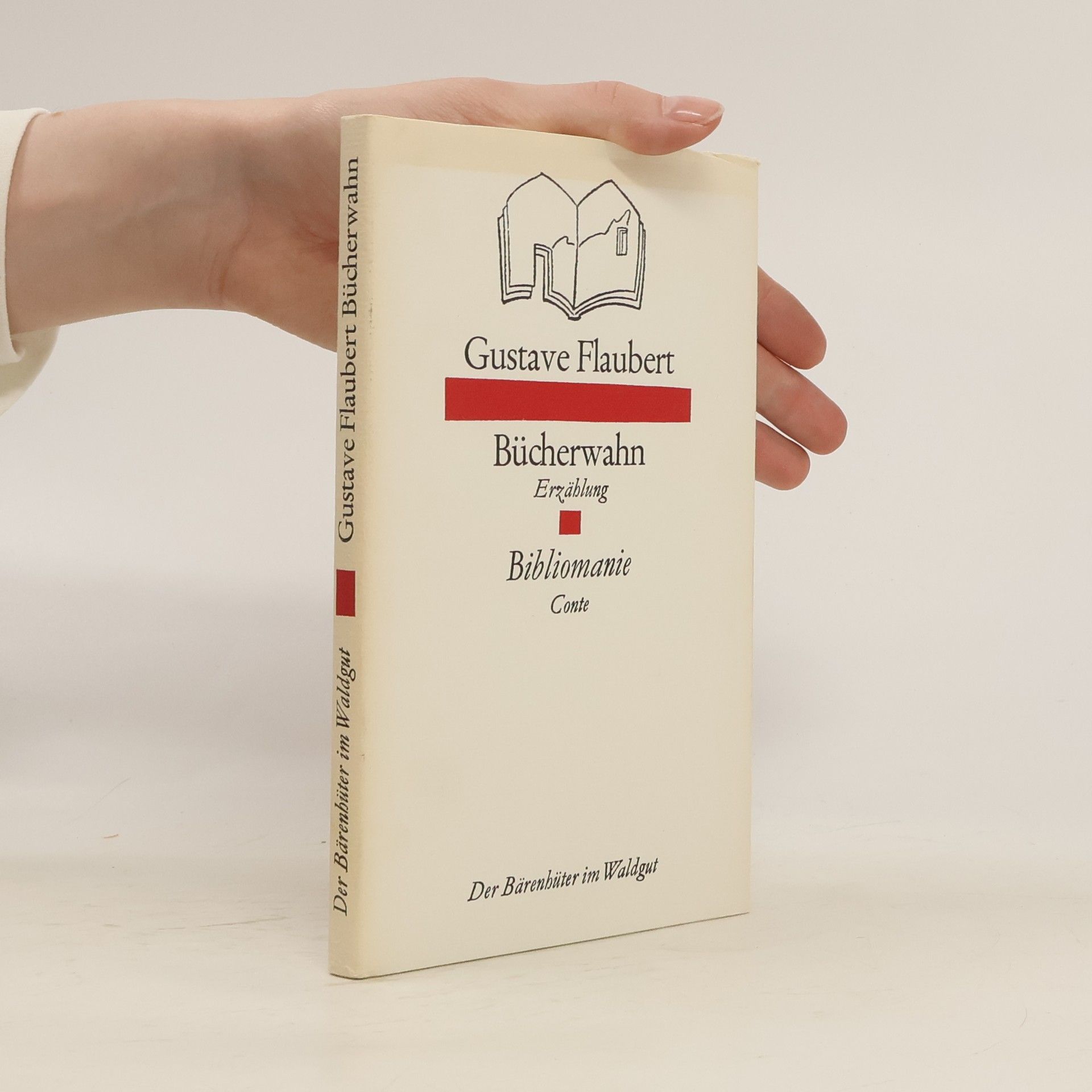 Gustave Flaubert Bücherwahn