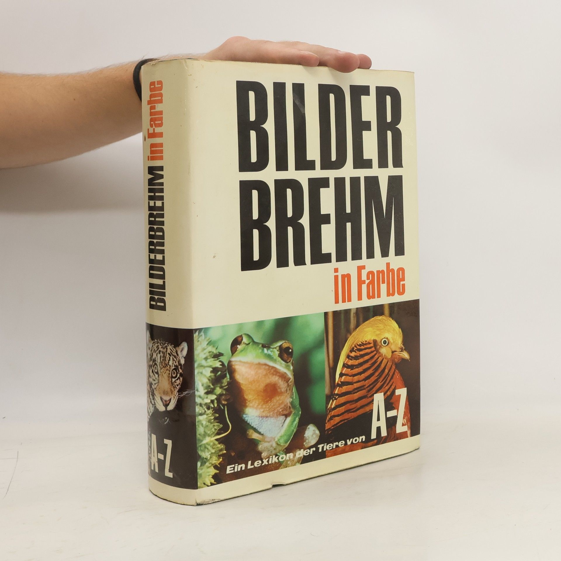 Ulrich Mohr-Matuschek Bilder Brehm in Farbe. Ein Lexikon der Tiere von A - Z