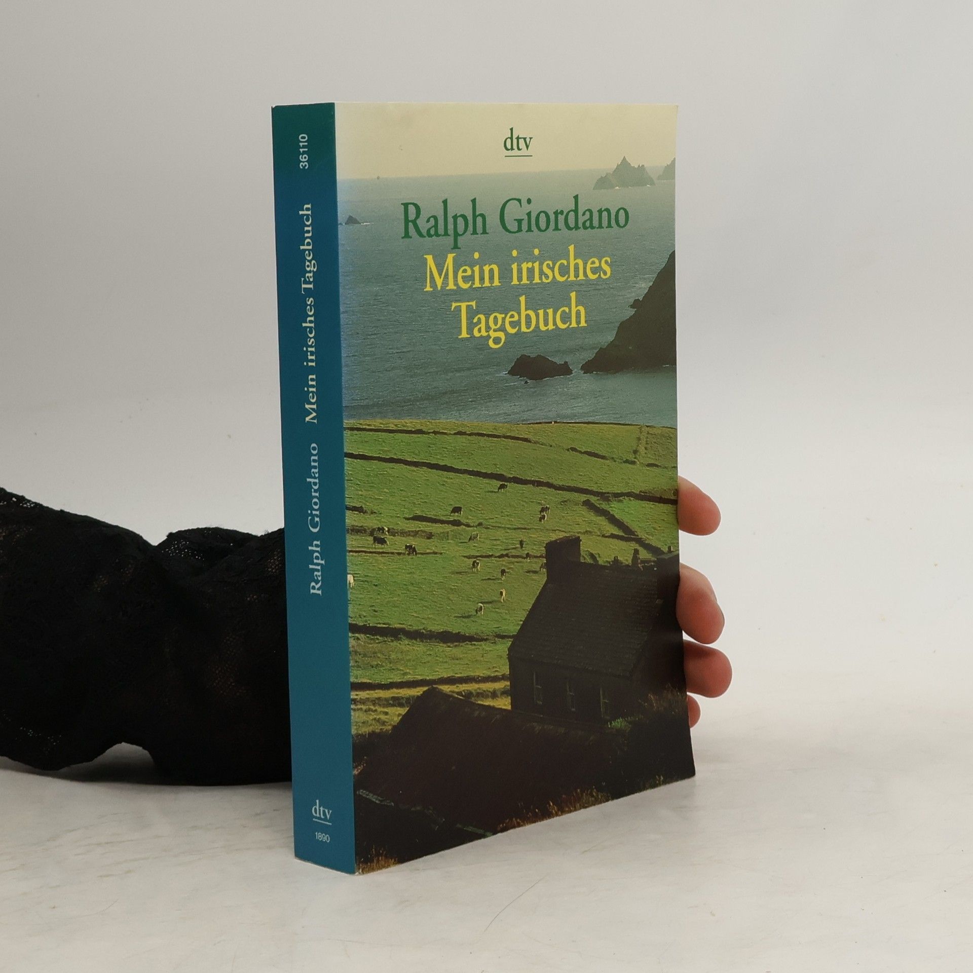 Ralph Giordano Mein irisches Tagebuch