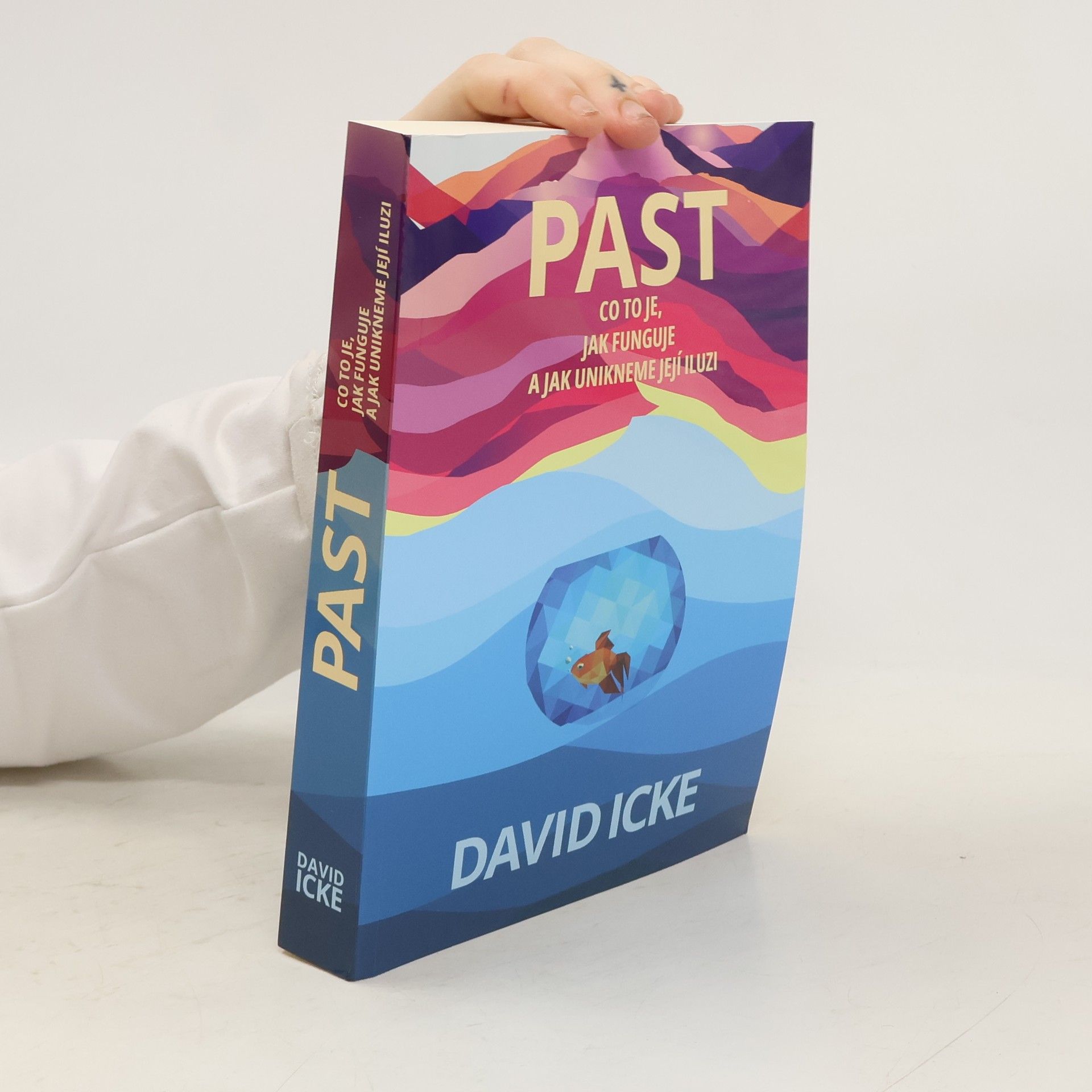 David Icke Past