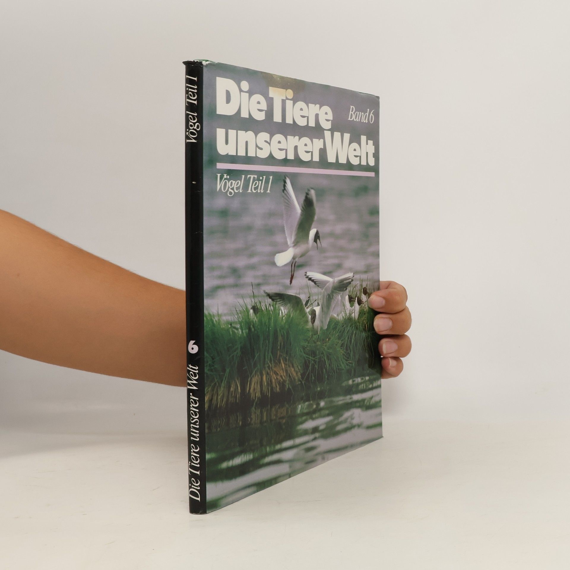 Collectif d'auteurs Die Tiere unserer Welt 6. Vögel Teil 1