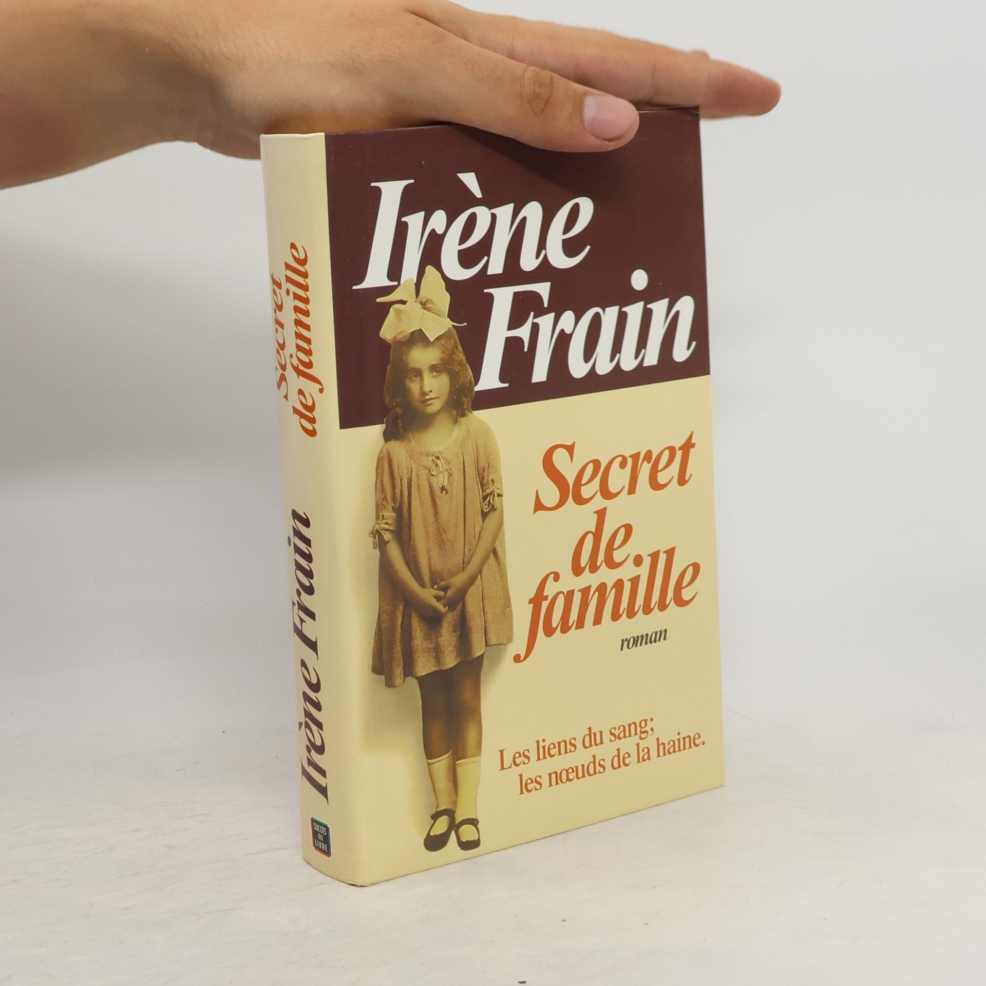 Irène Frain Le Secret De Famille