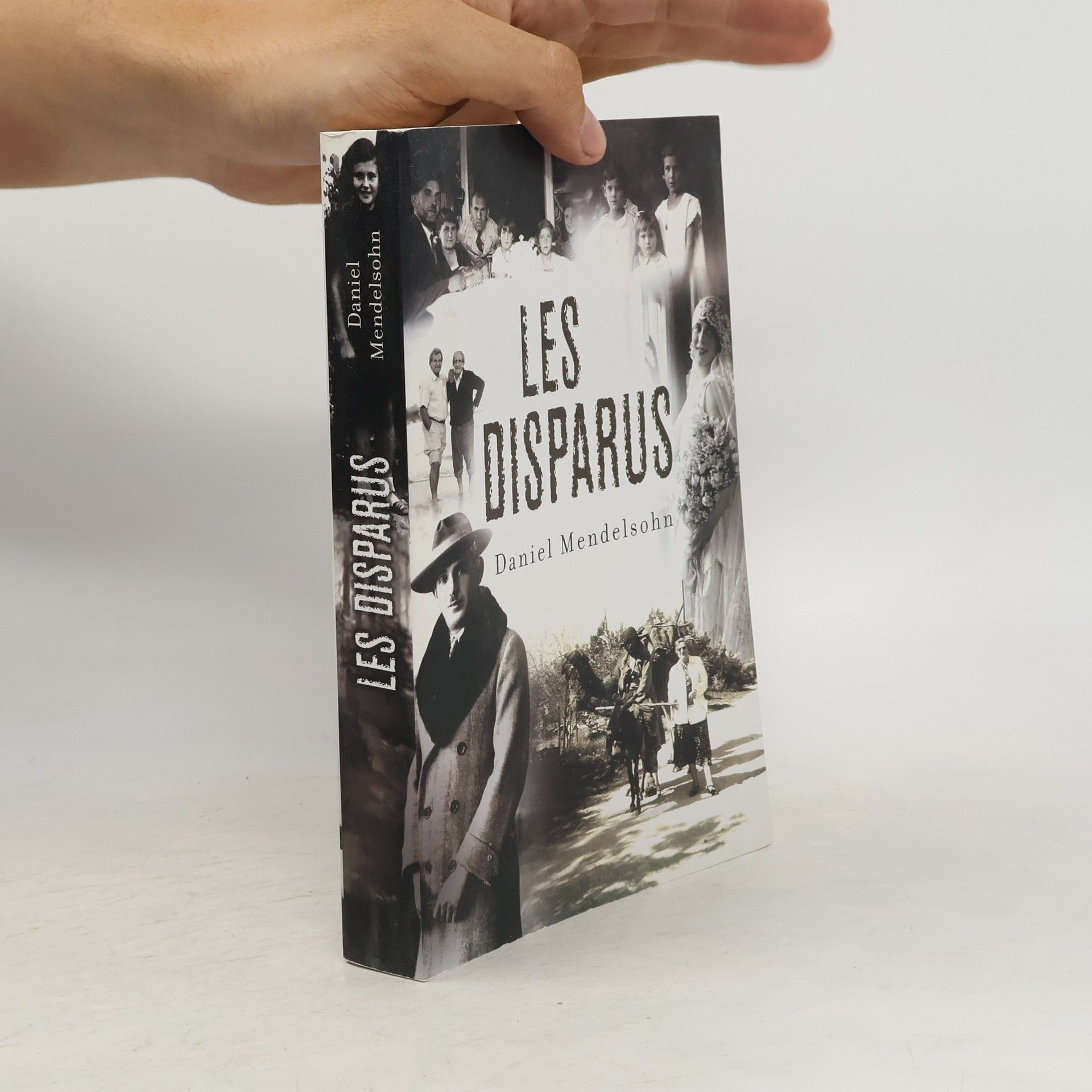 Pierre Guglielmina Les Disparus