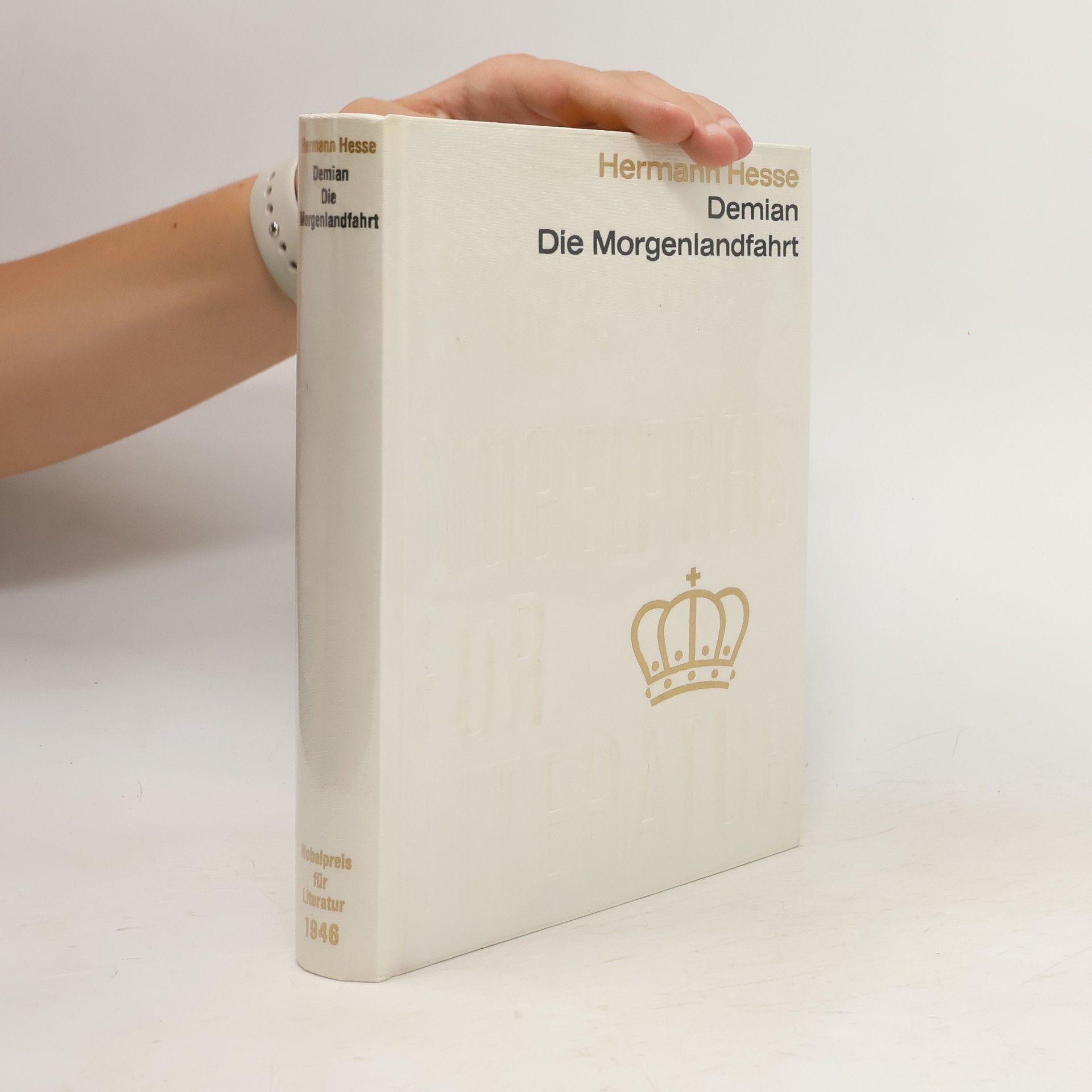 Hermann Hesse Demian. Die Morgenlandfahrt