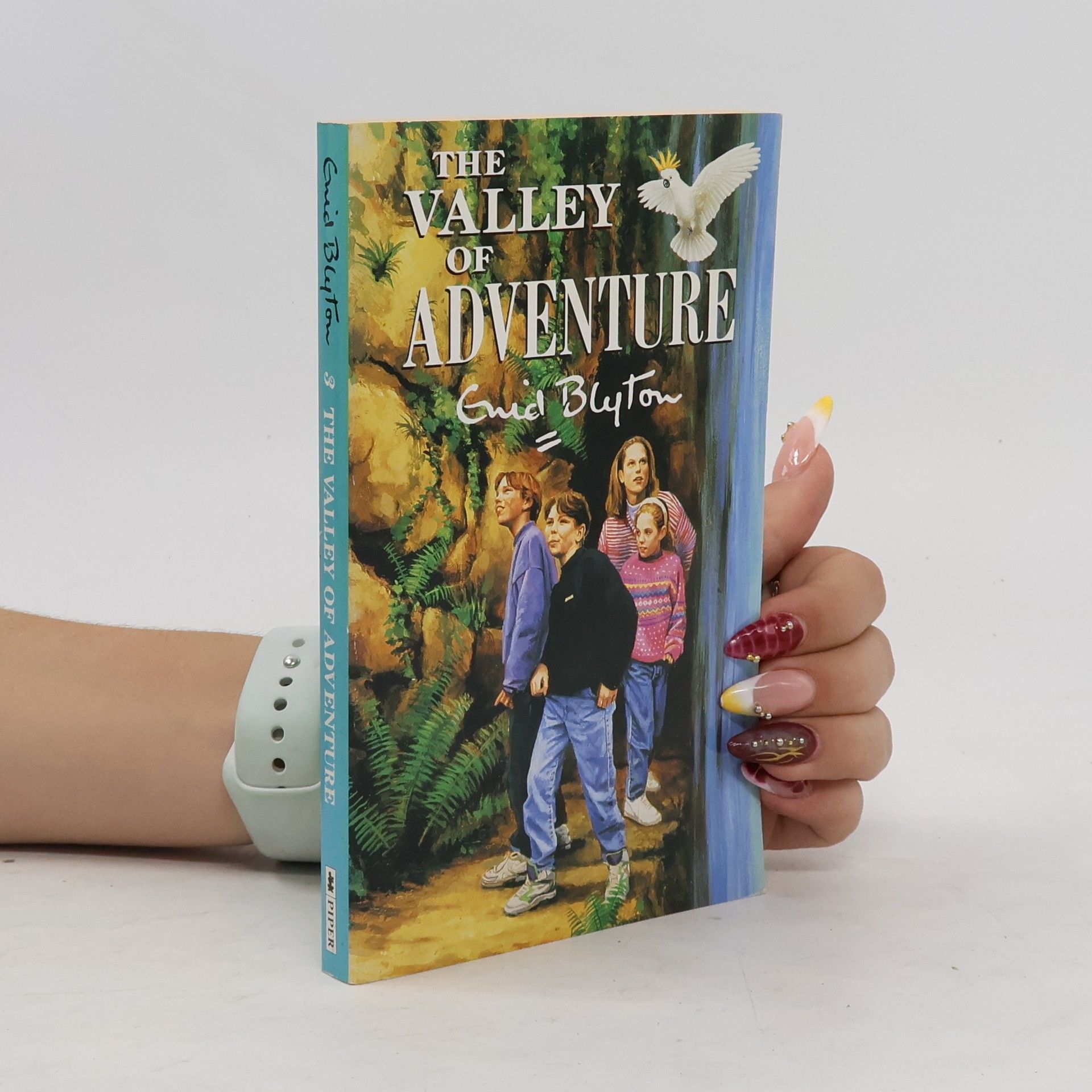 Enid Blyton The Valley of Adventure