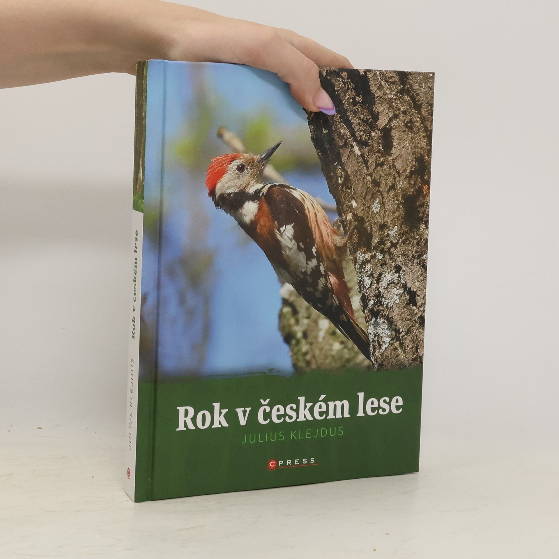 Julius Klejdus Rok v českém lese