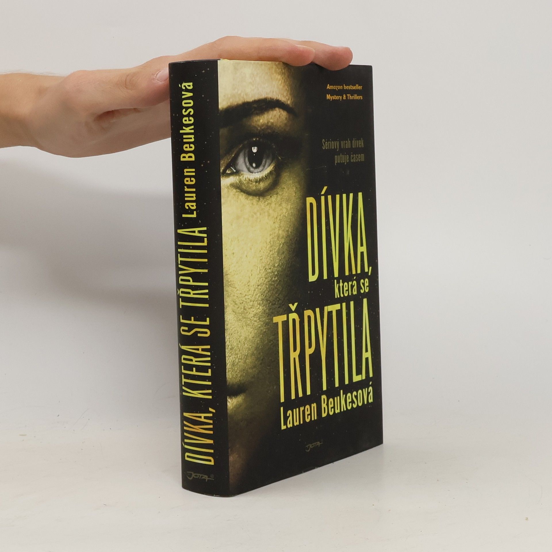 Lauren Beukes Dívka, která se třpytila