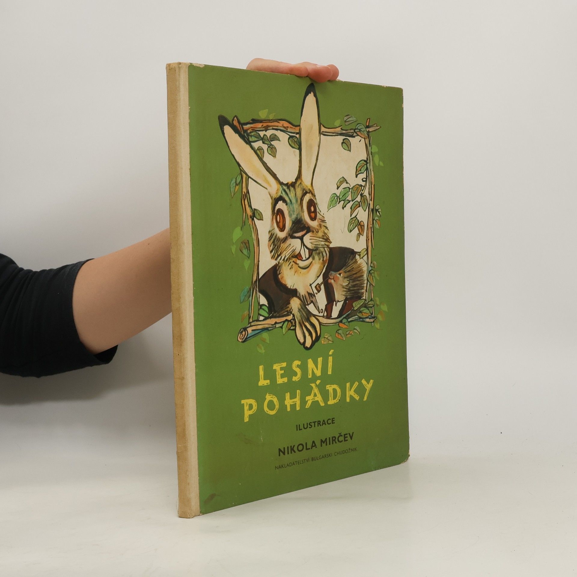 Autorenkollektiv Lesní pohádky
