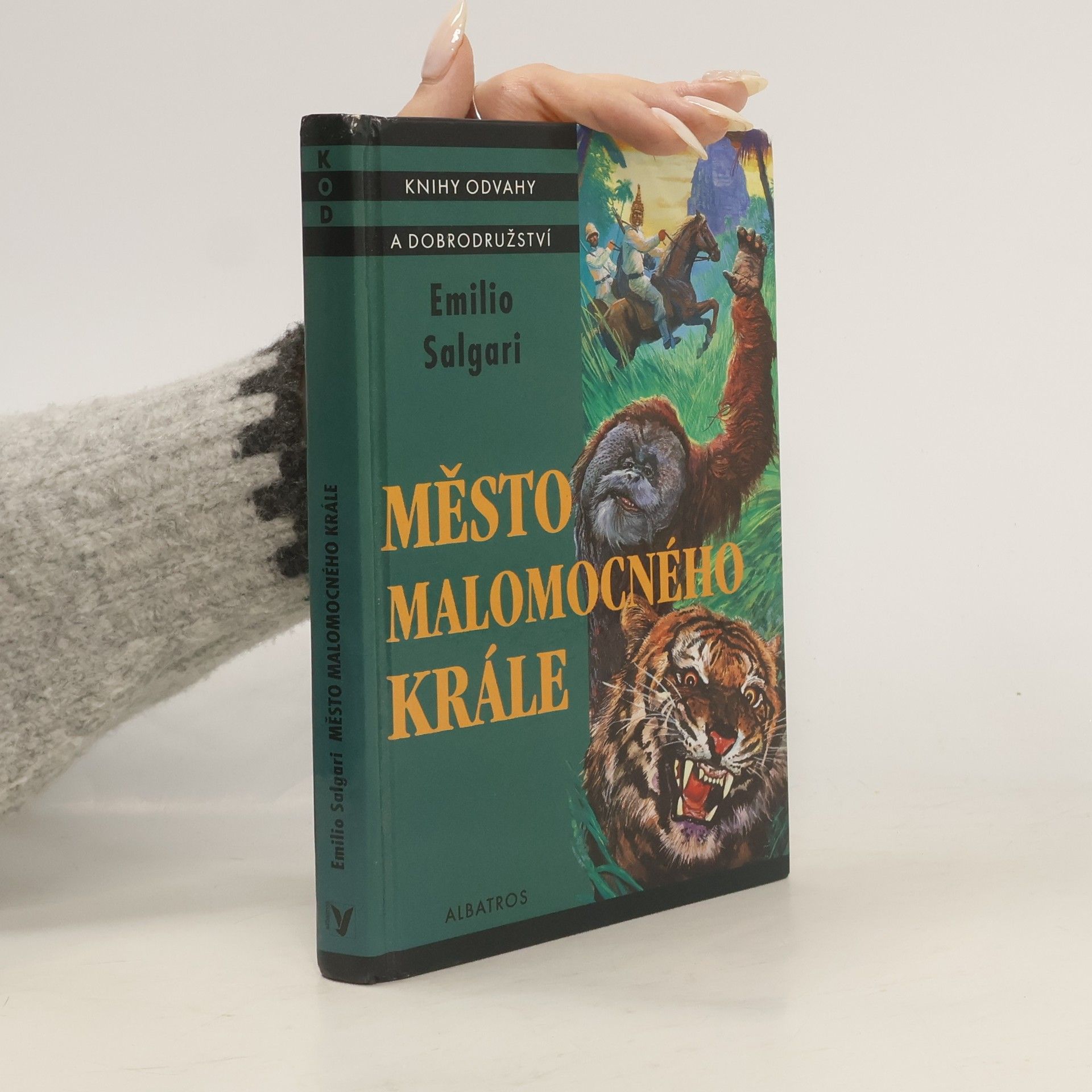 Město malomocného krále