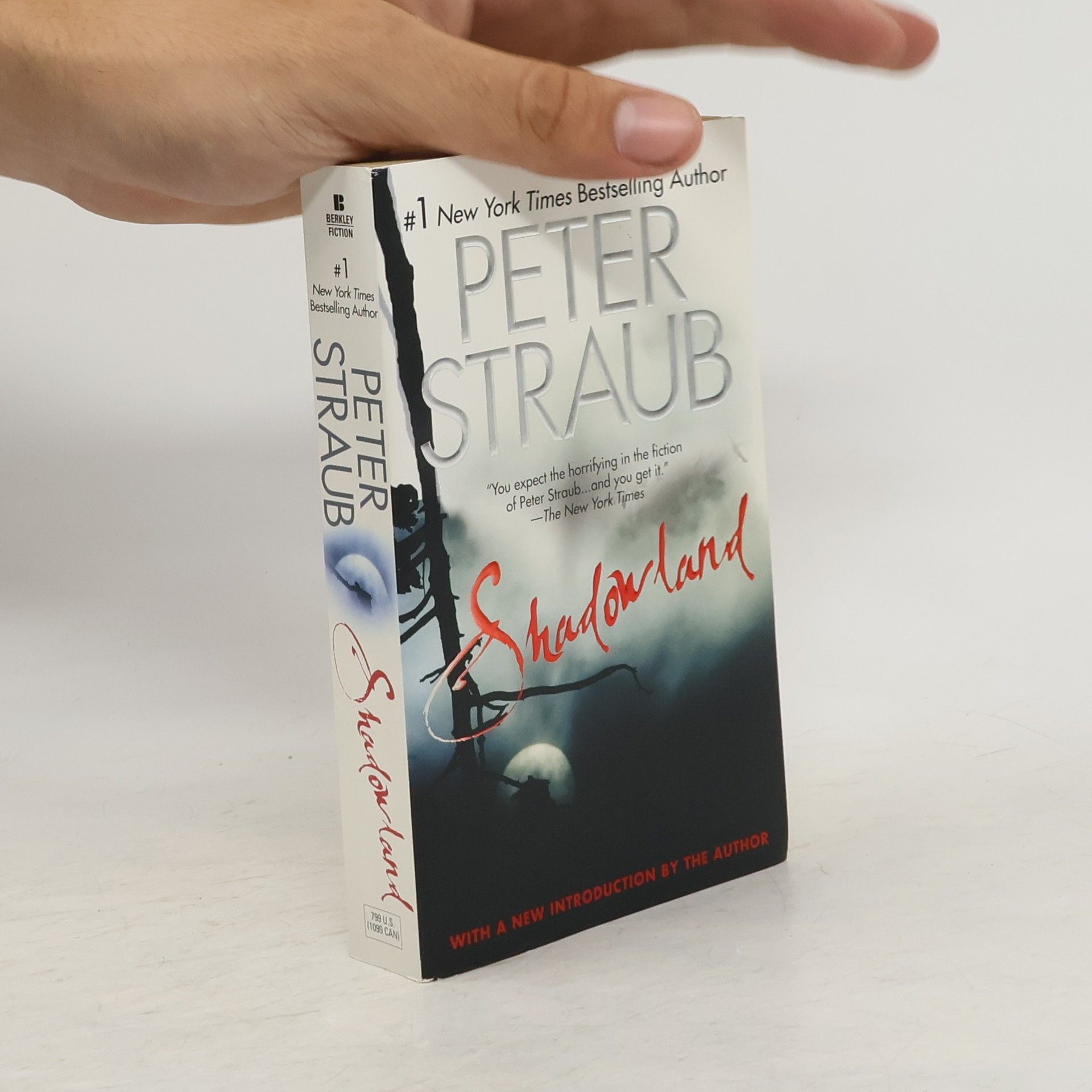 Peter Straub Shadowland