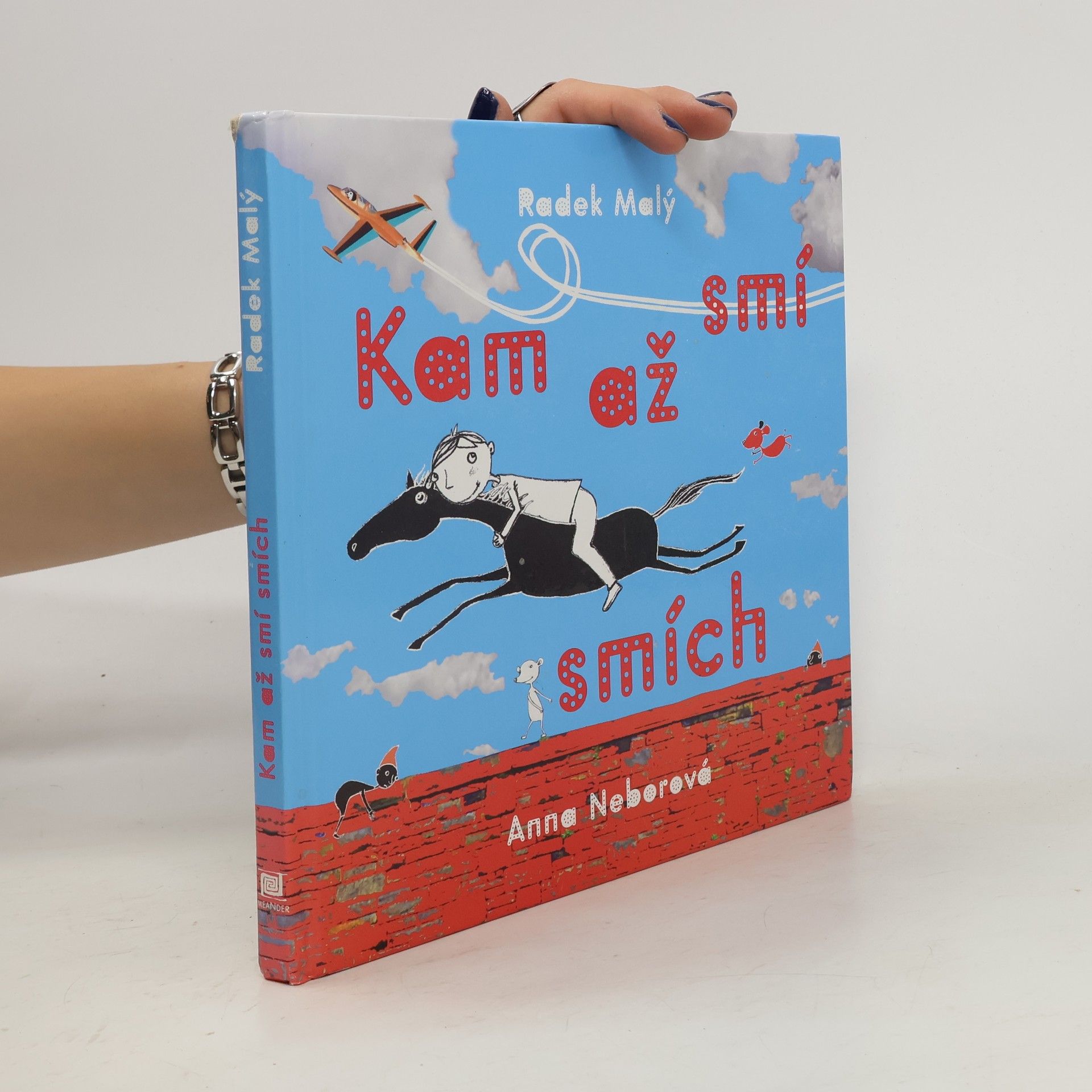 Radek Malý Kam až smí smích