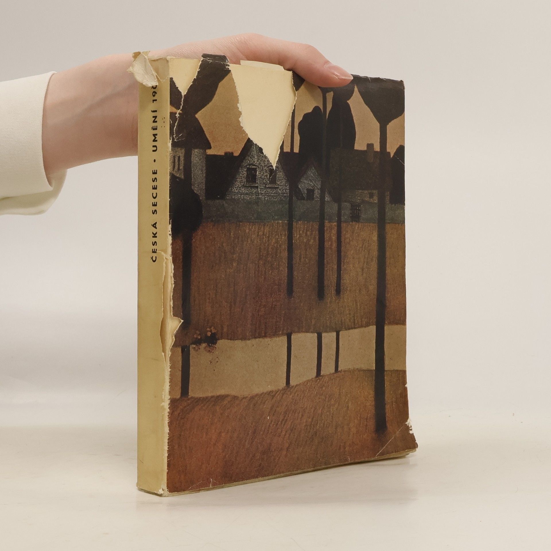 Autorenkollektiv Česká secese umění 1900 : Katalog výstavy