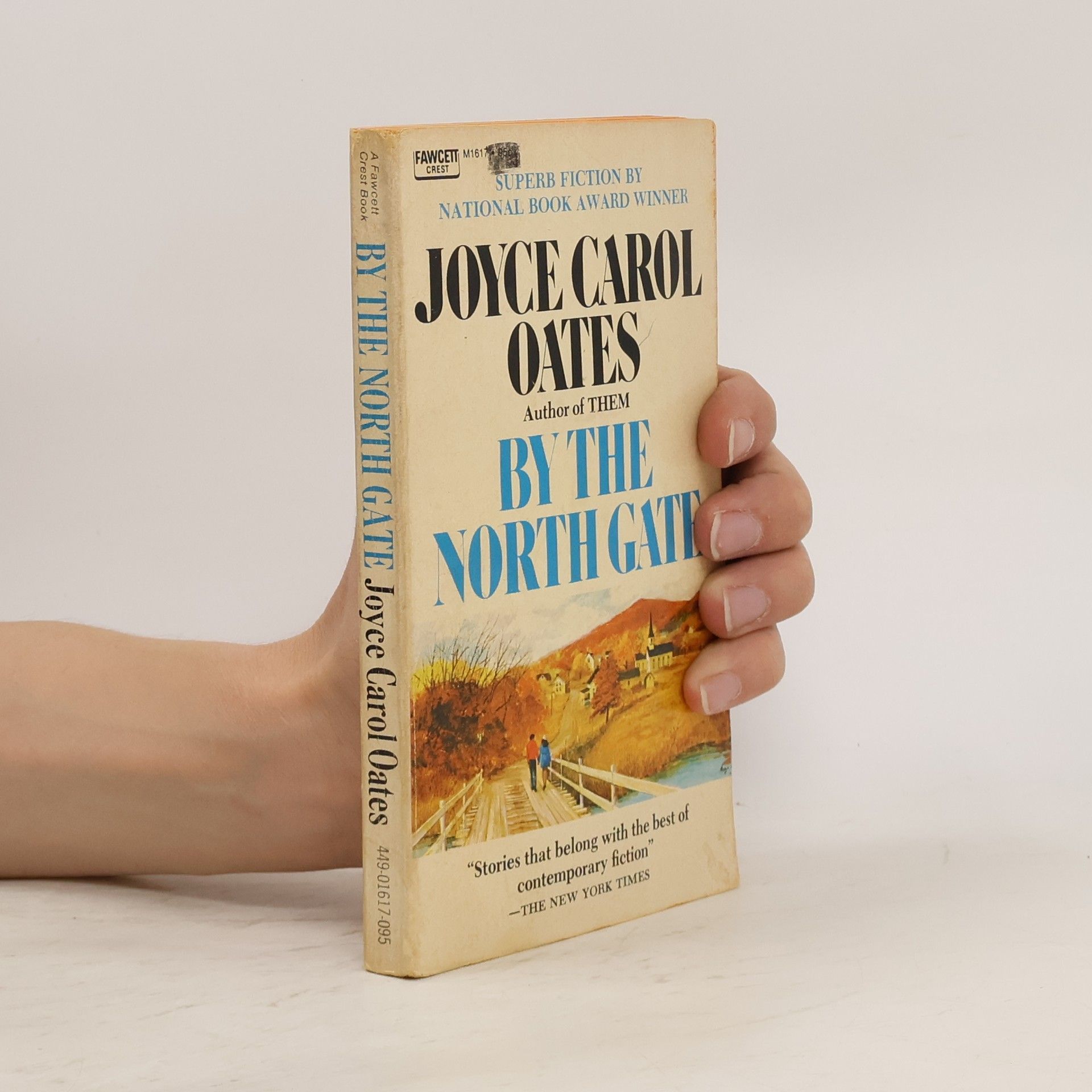 Joyce Carol Oates By the North Gate