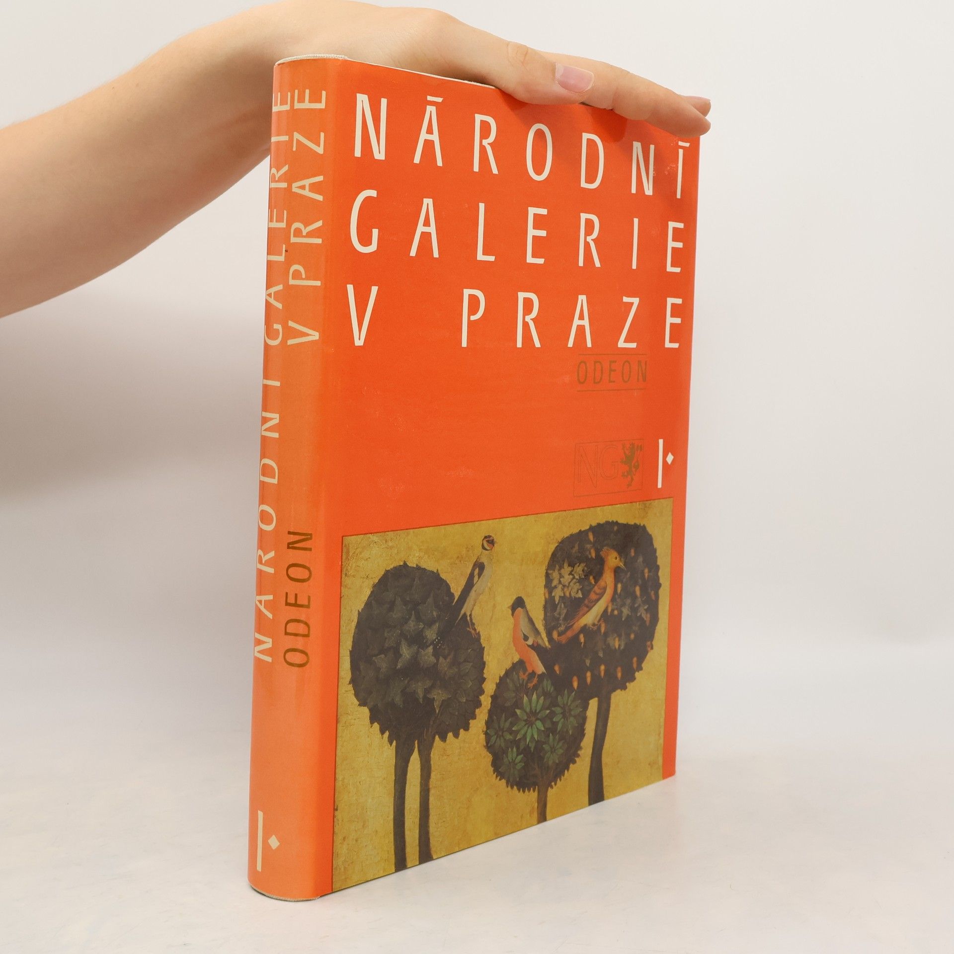 Kolektiv autorů Národní galerie v Praze
