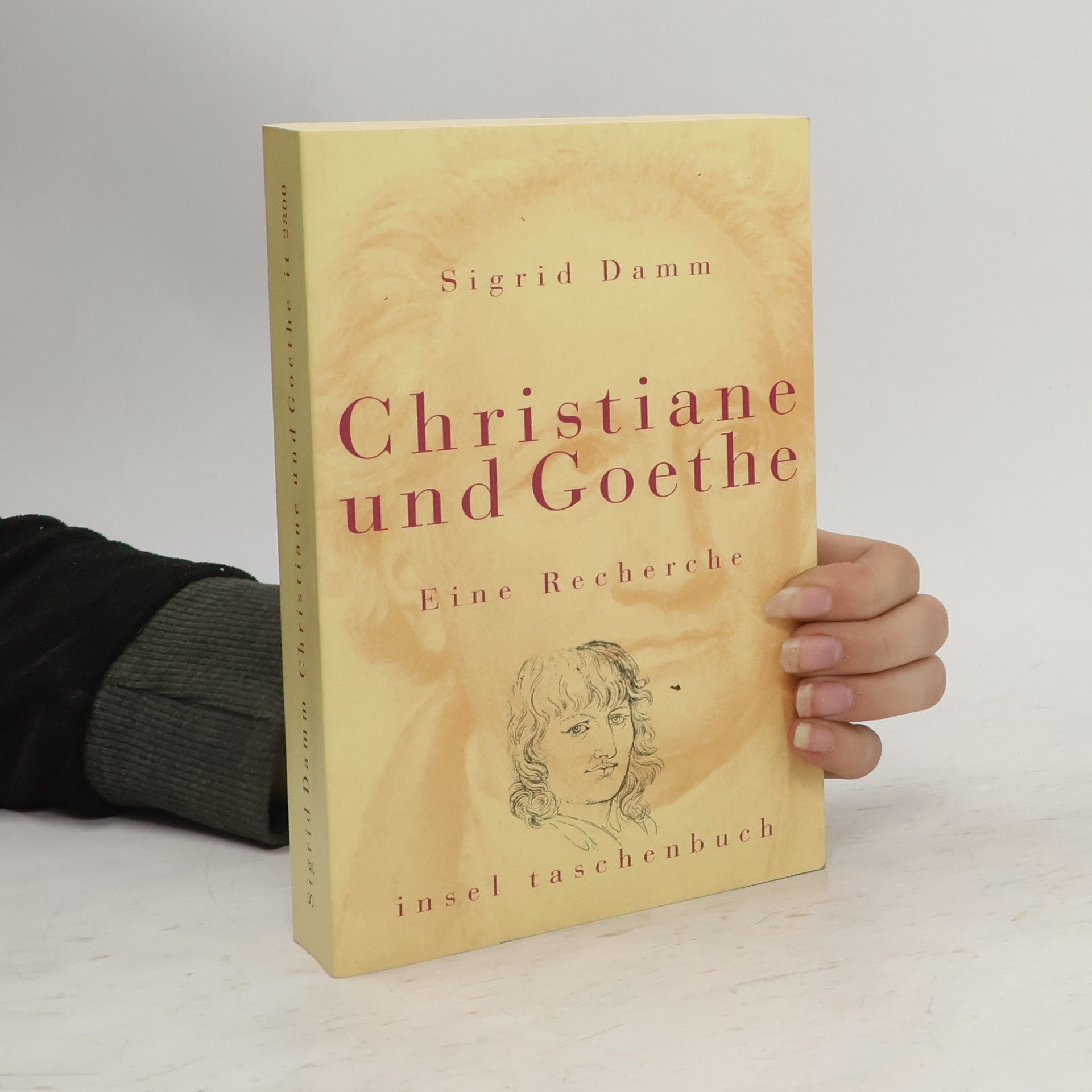 Sigrid Damm Christiane und Goethe