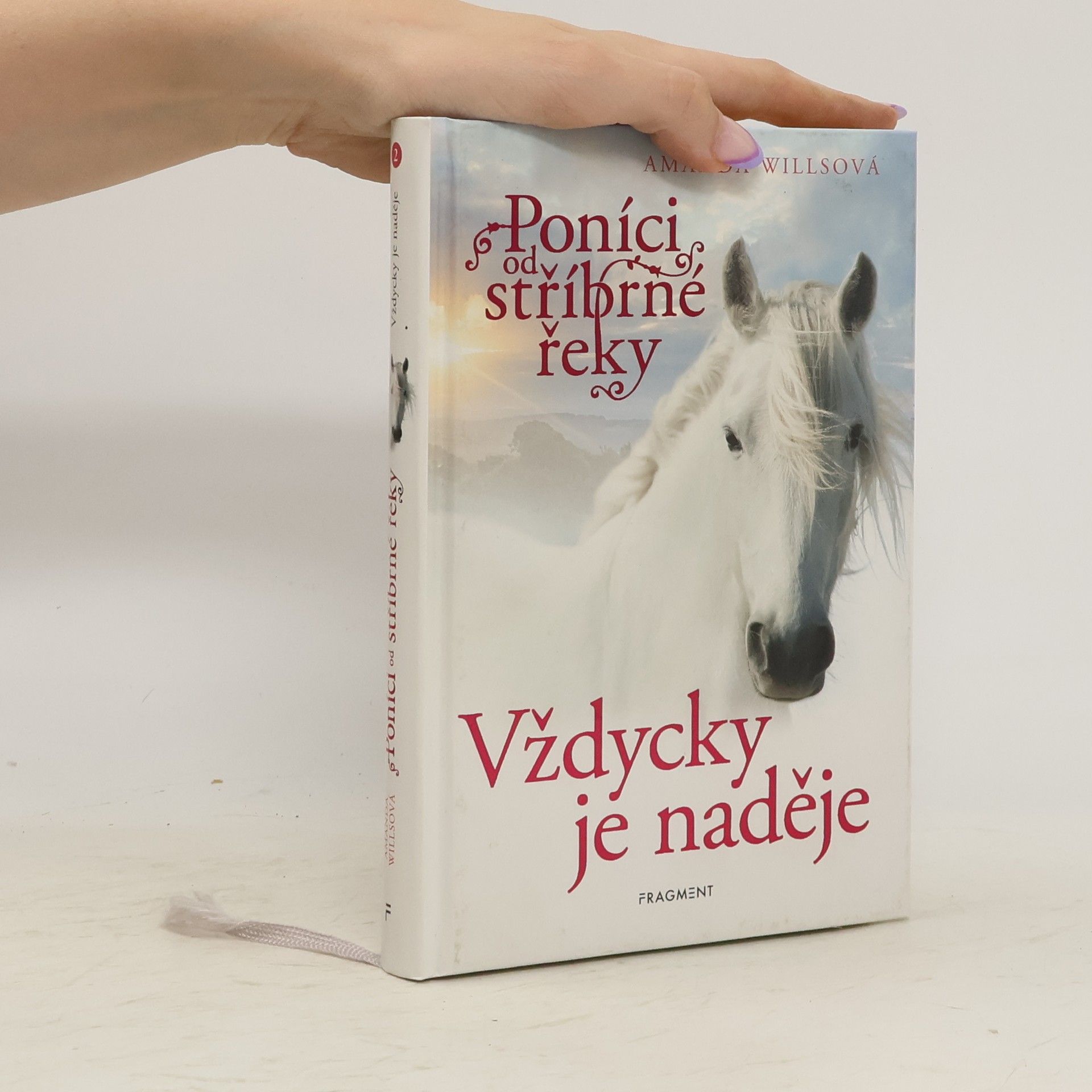 Amanda Wills Vždycky je naděje