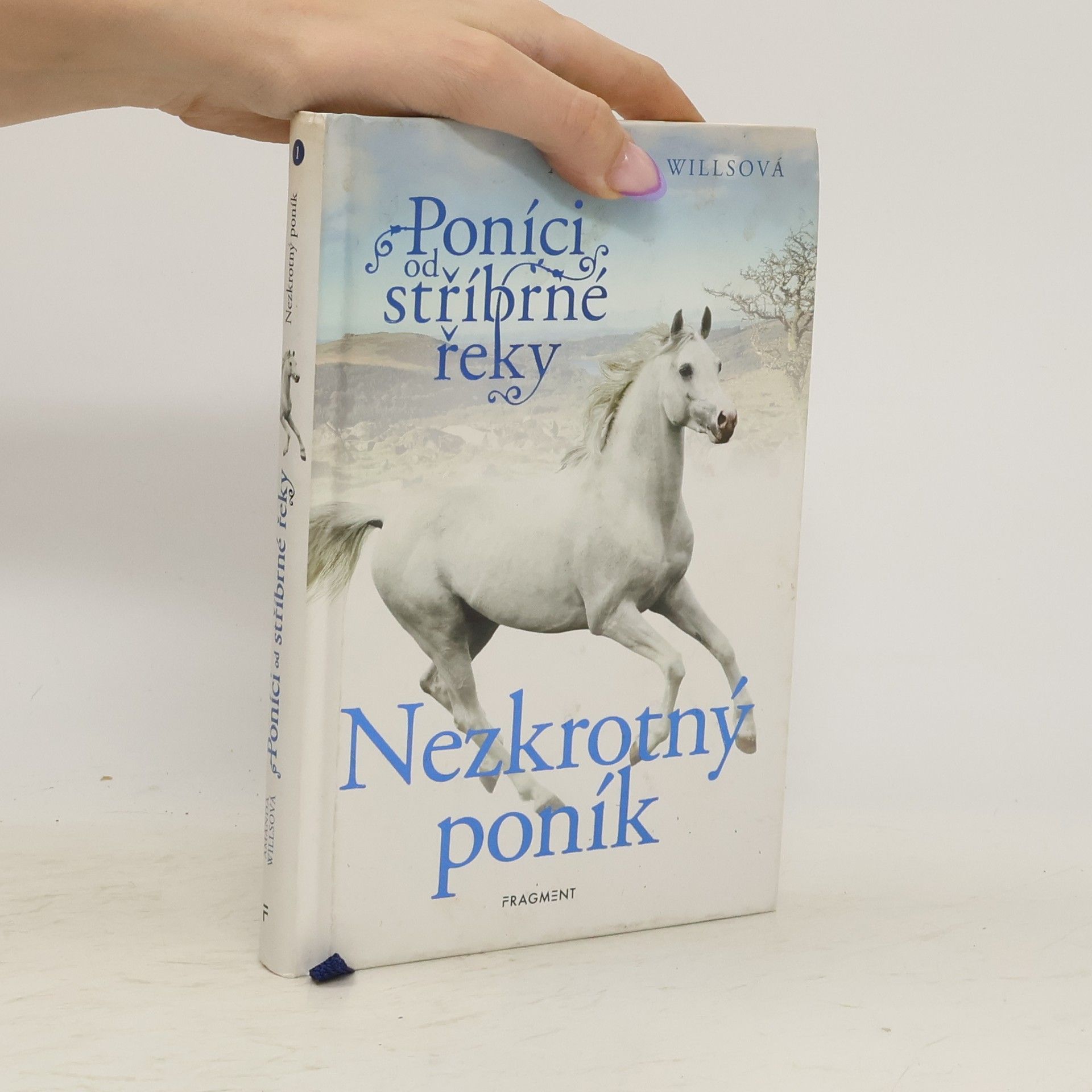 Amanda Wills Nezkrotný poník