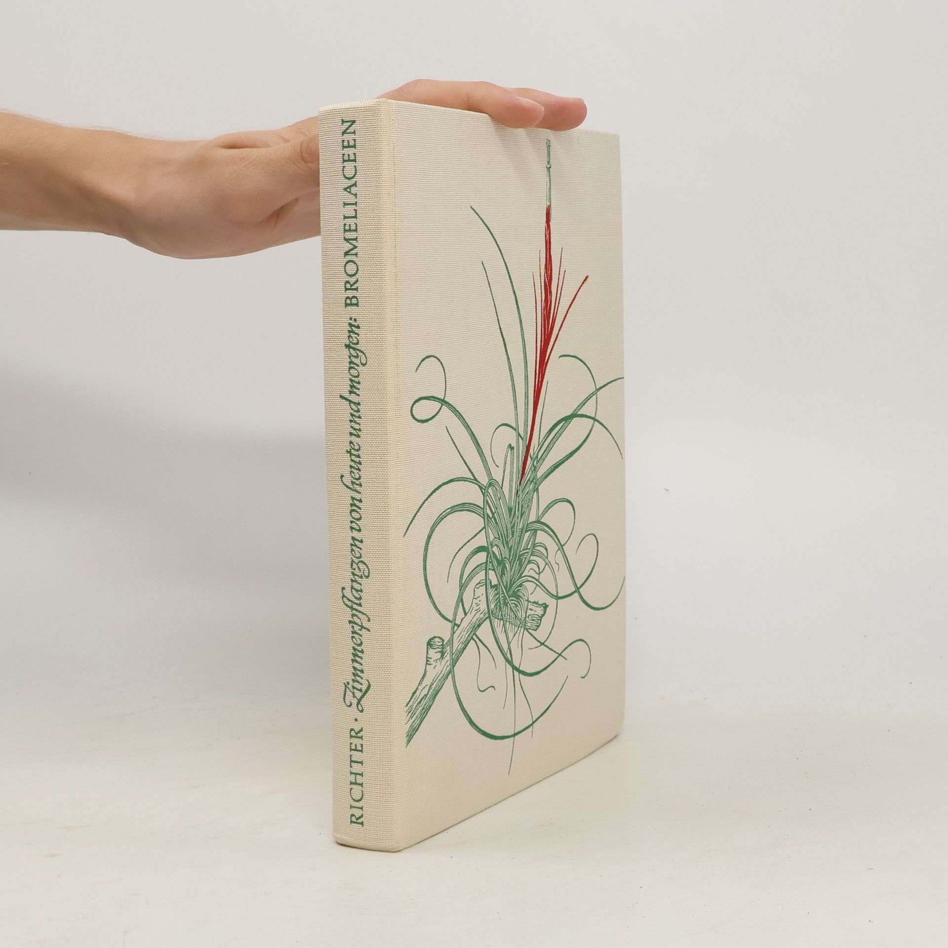 Walter Richter Zimmerpflanzen von heute und morgen, Bromeliaceen