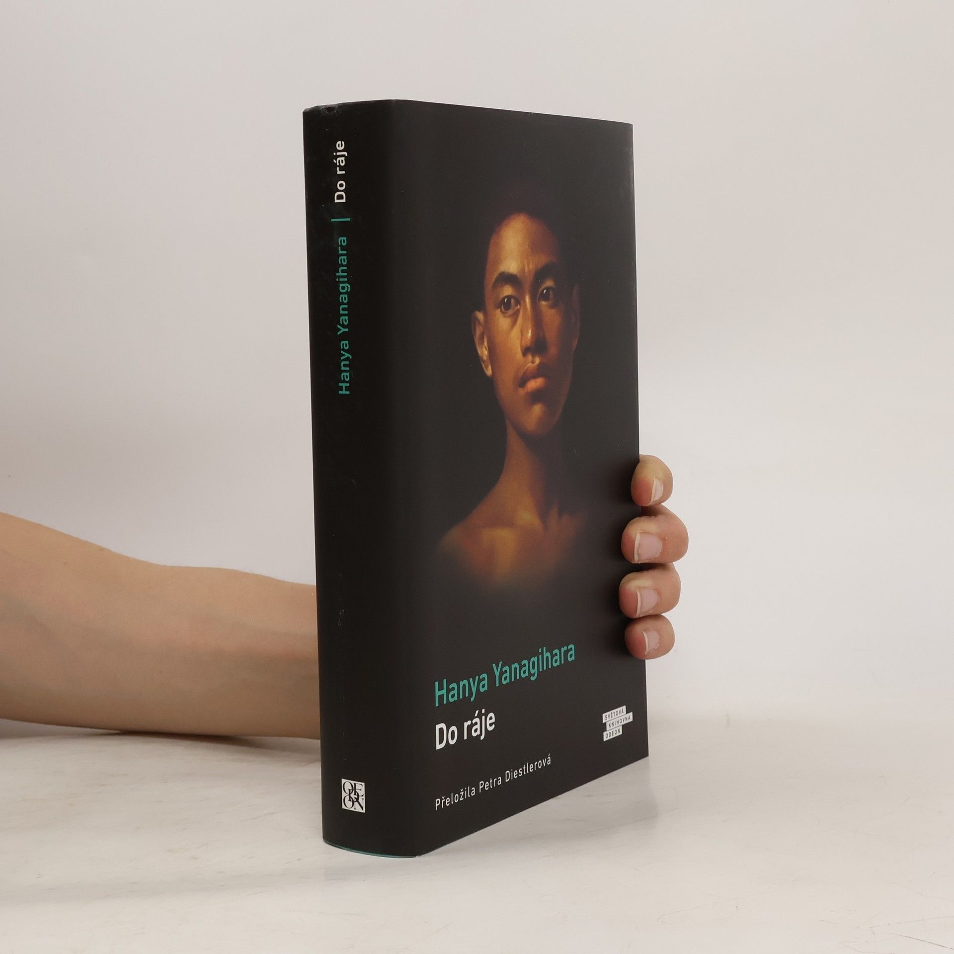 Hanya Yanagihara Do ráje
