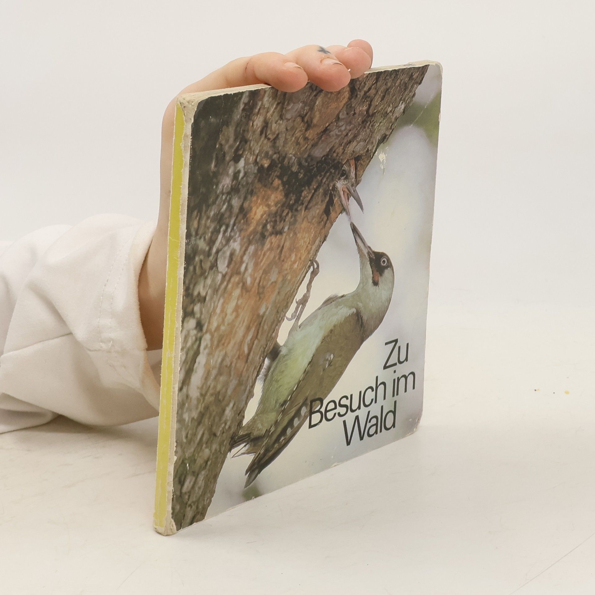Various authors Zu Besuch im Wald