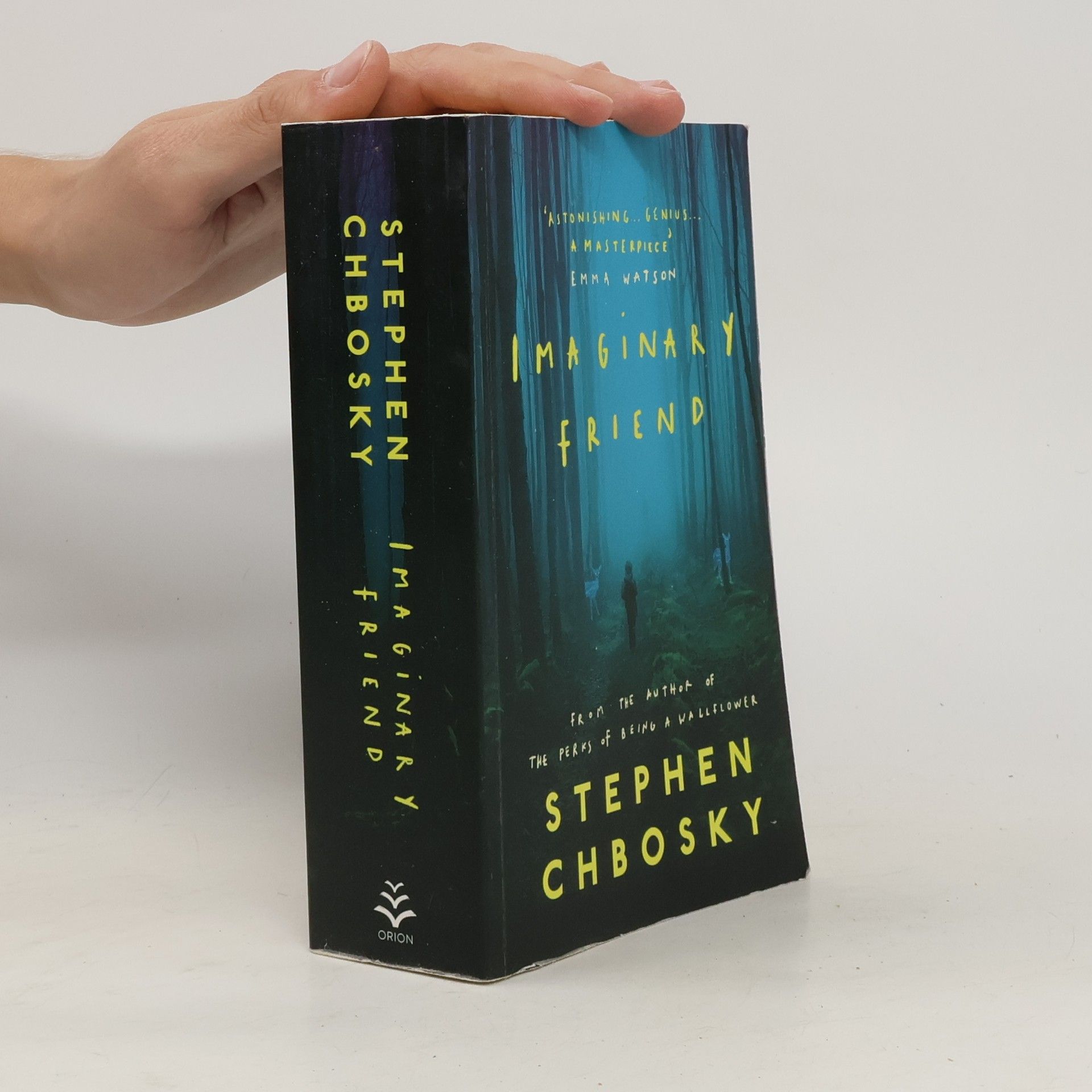 Stephen Chbosky Imaginary friend