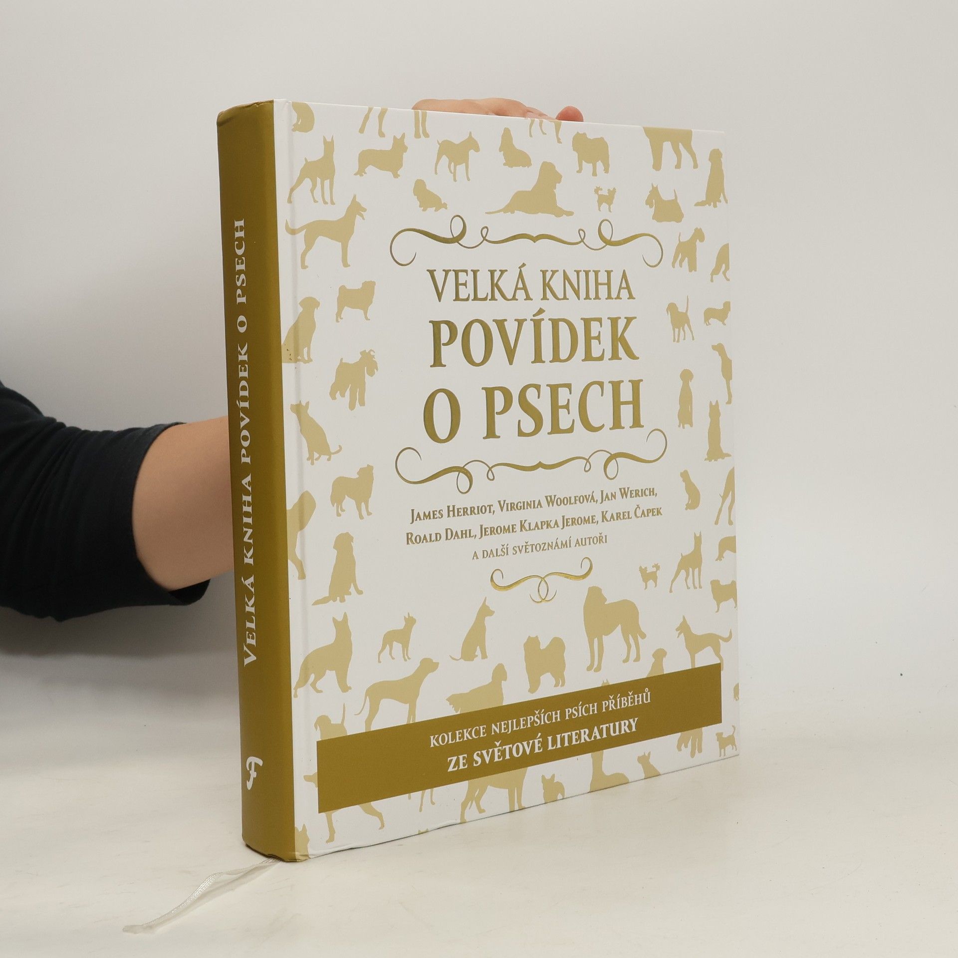 Collectif d'auteurs Velká kniha povídek o psech