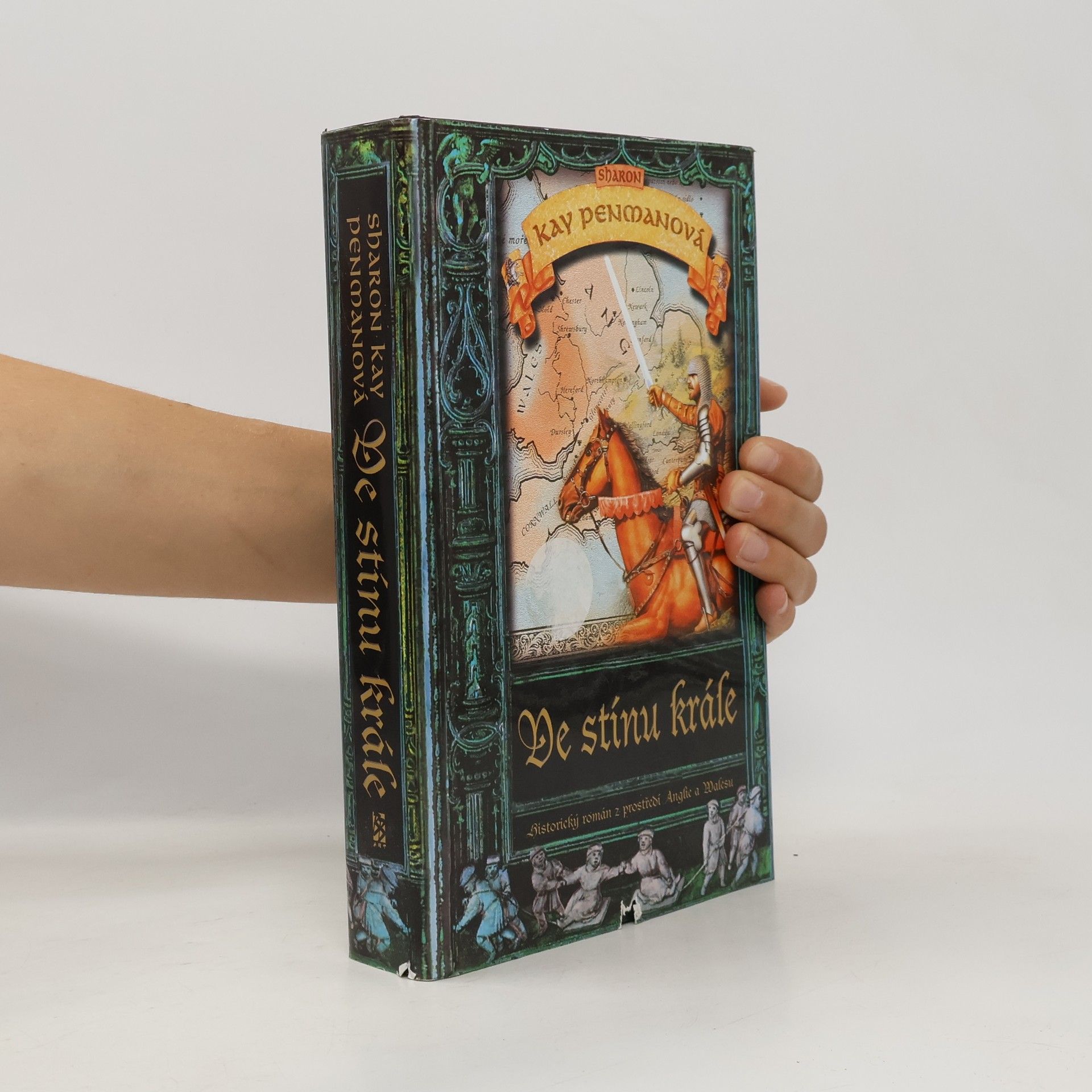 Sharon Kay Penman Ve stínu krále