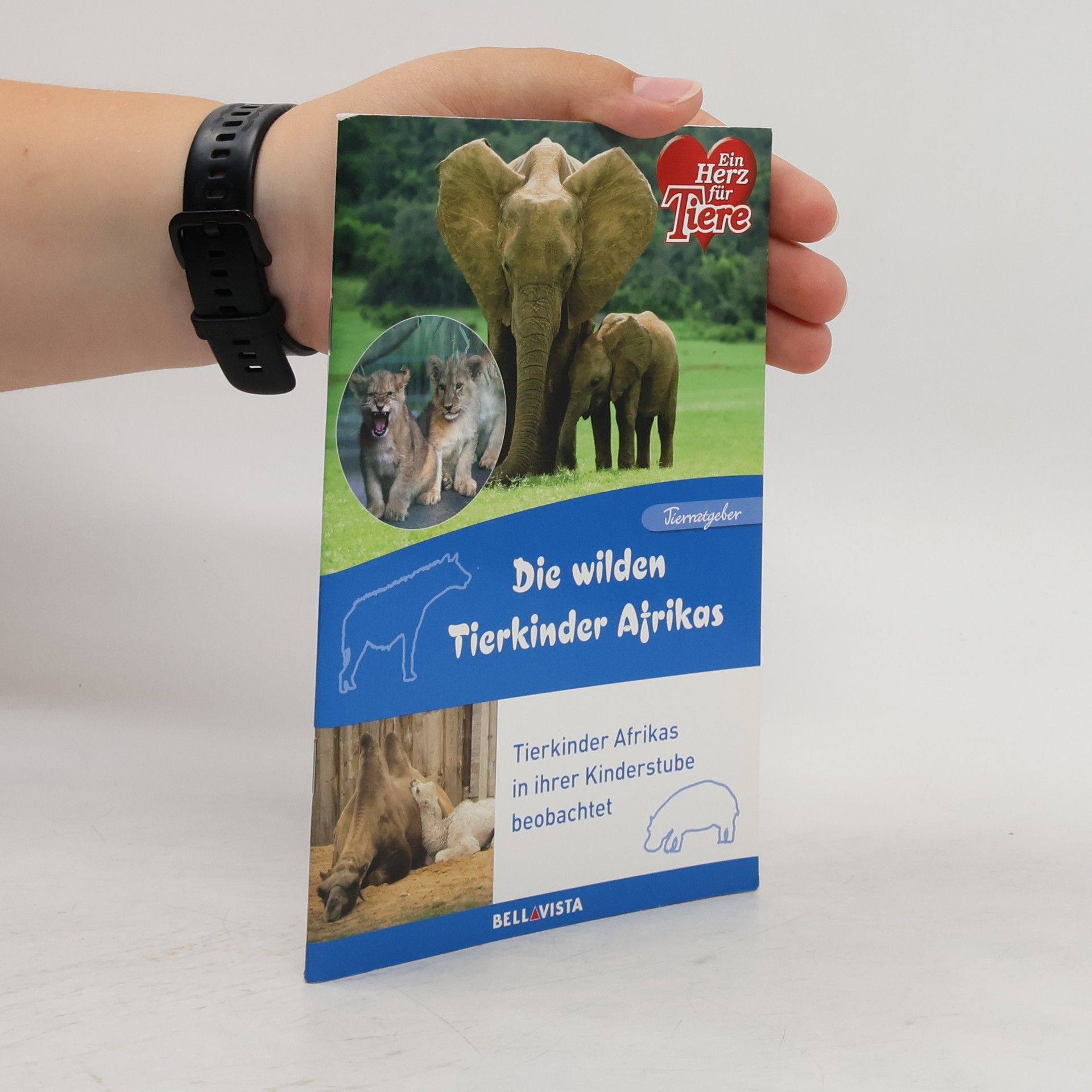 Autorenkollektiv Die wilden Tierkinder Afrikas: Tierkinder Afrikas in ihrer Kinderstube beobachten