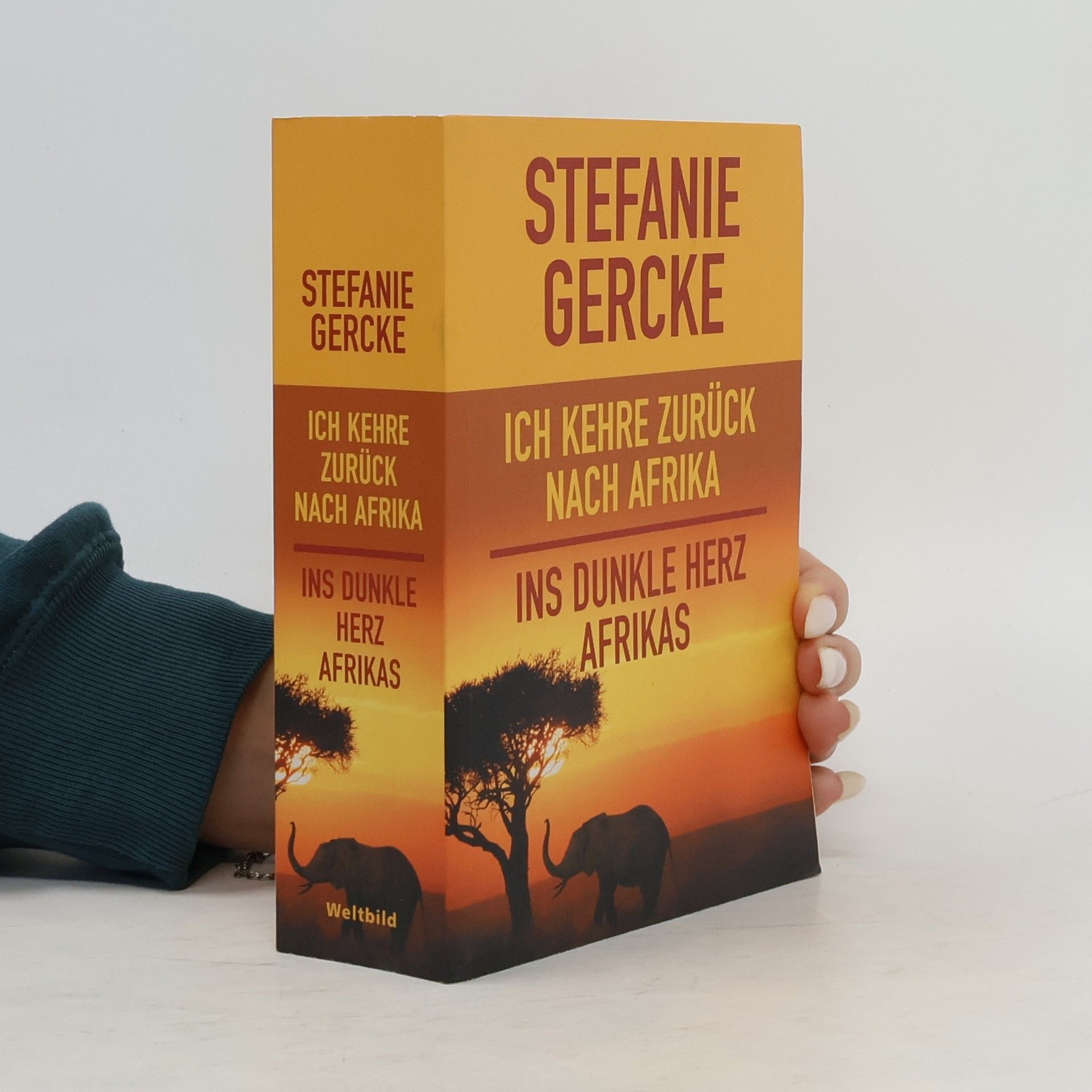 Stefanie Gercke Ich kehre zurück nach Afrika