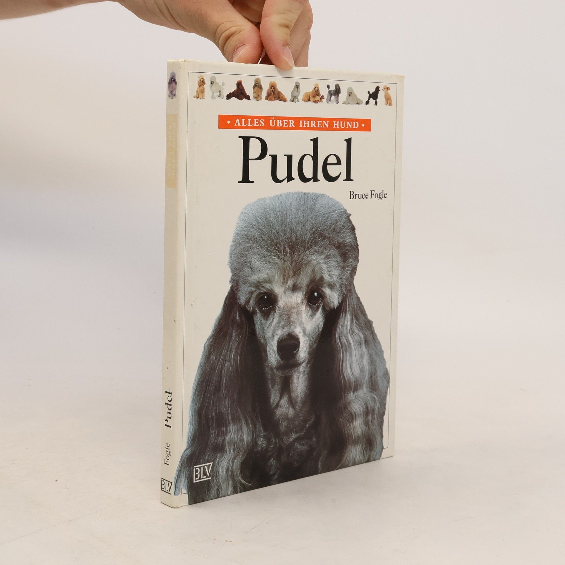 Bruce Folge Pudel