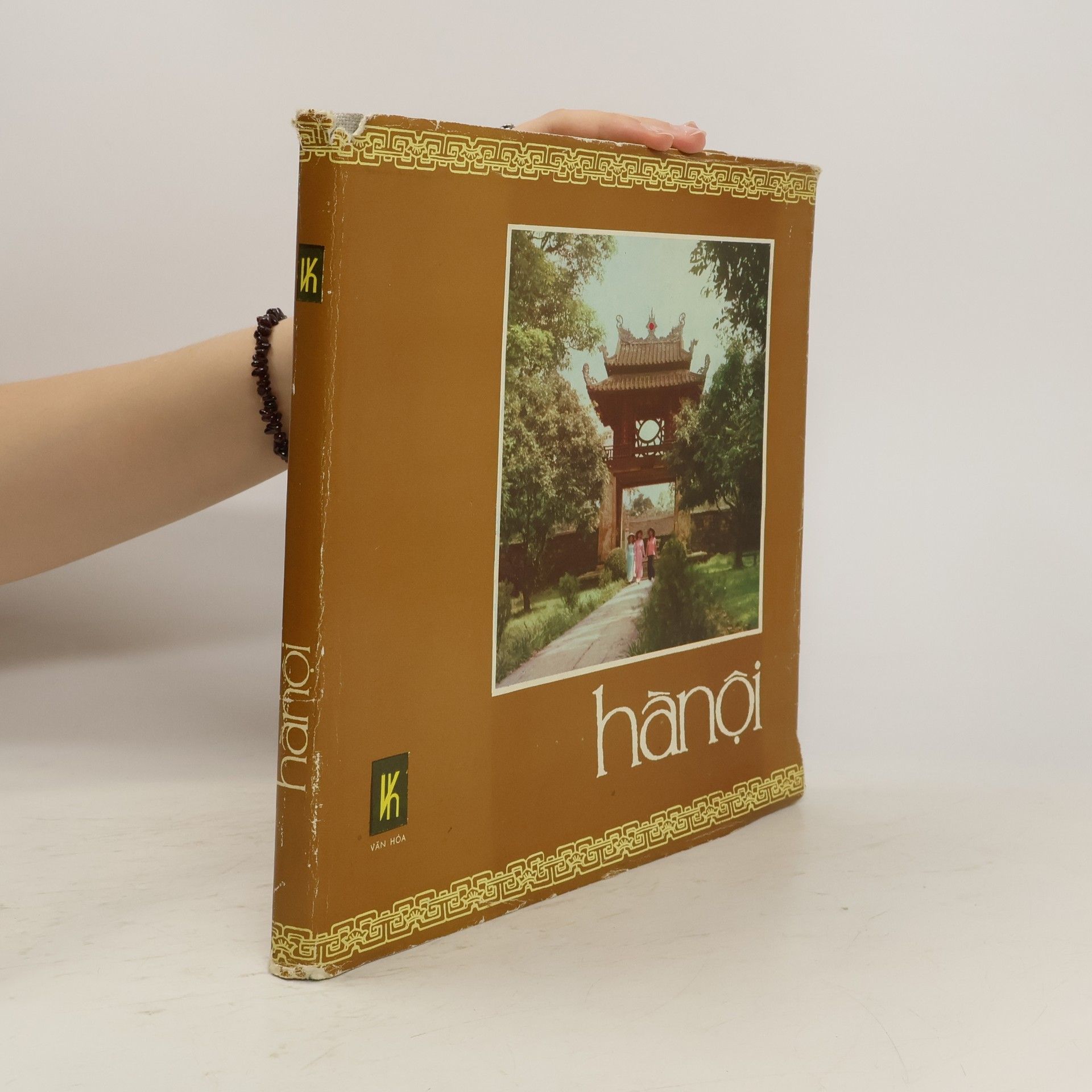 Võ Kỳ Hà Nội