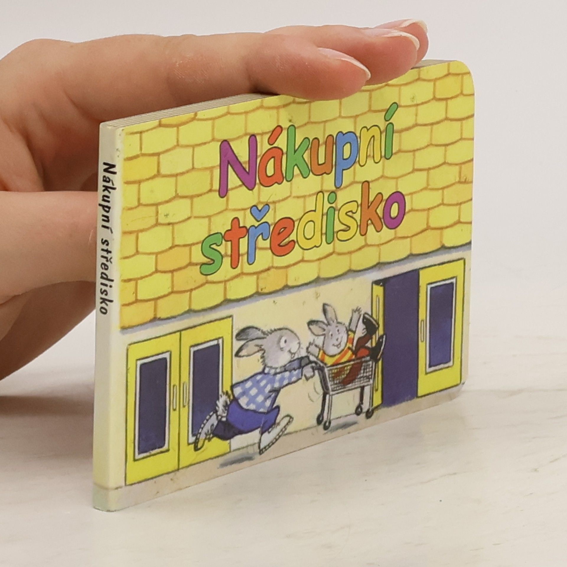 Kolektiv autorů Nákupní středisko